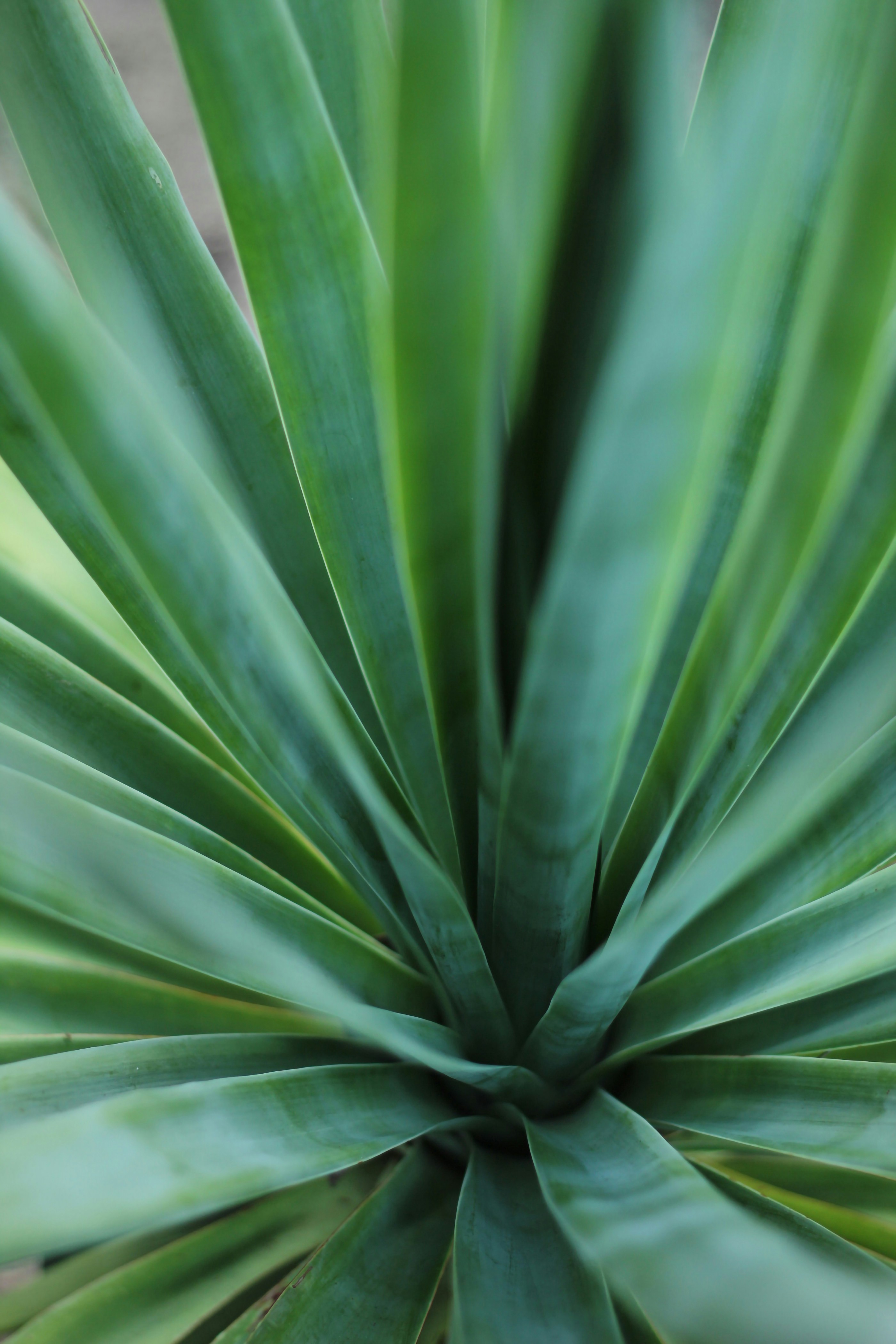 Photo by helenmichielin