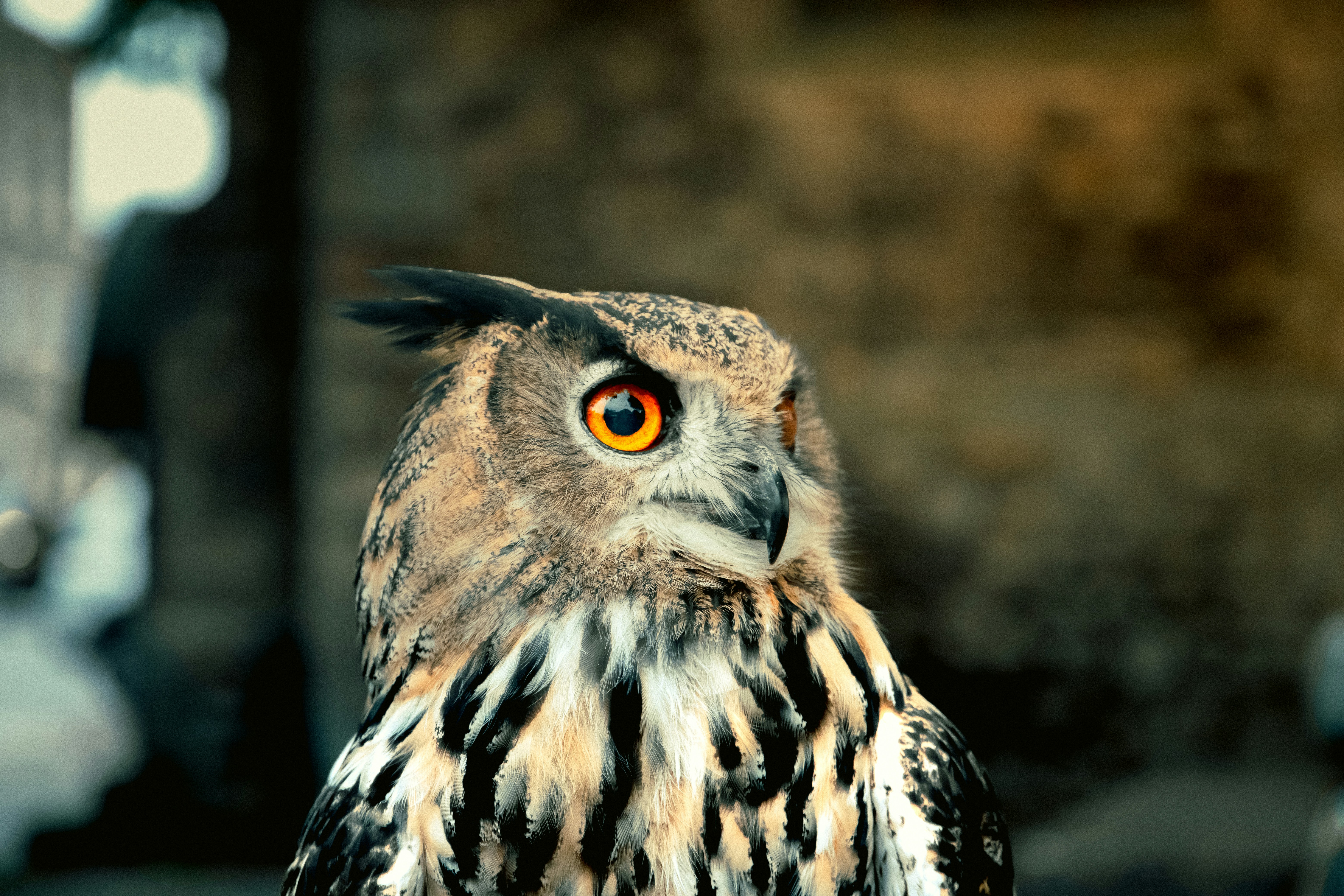 Photo by _amjadnasser