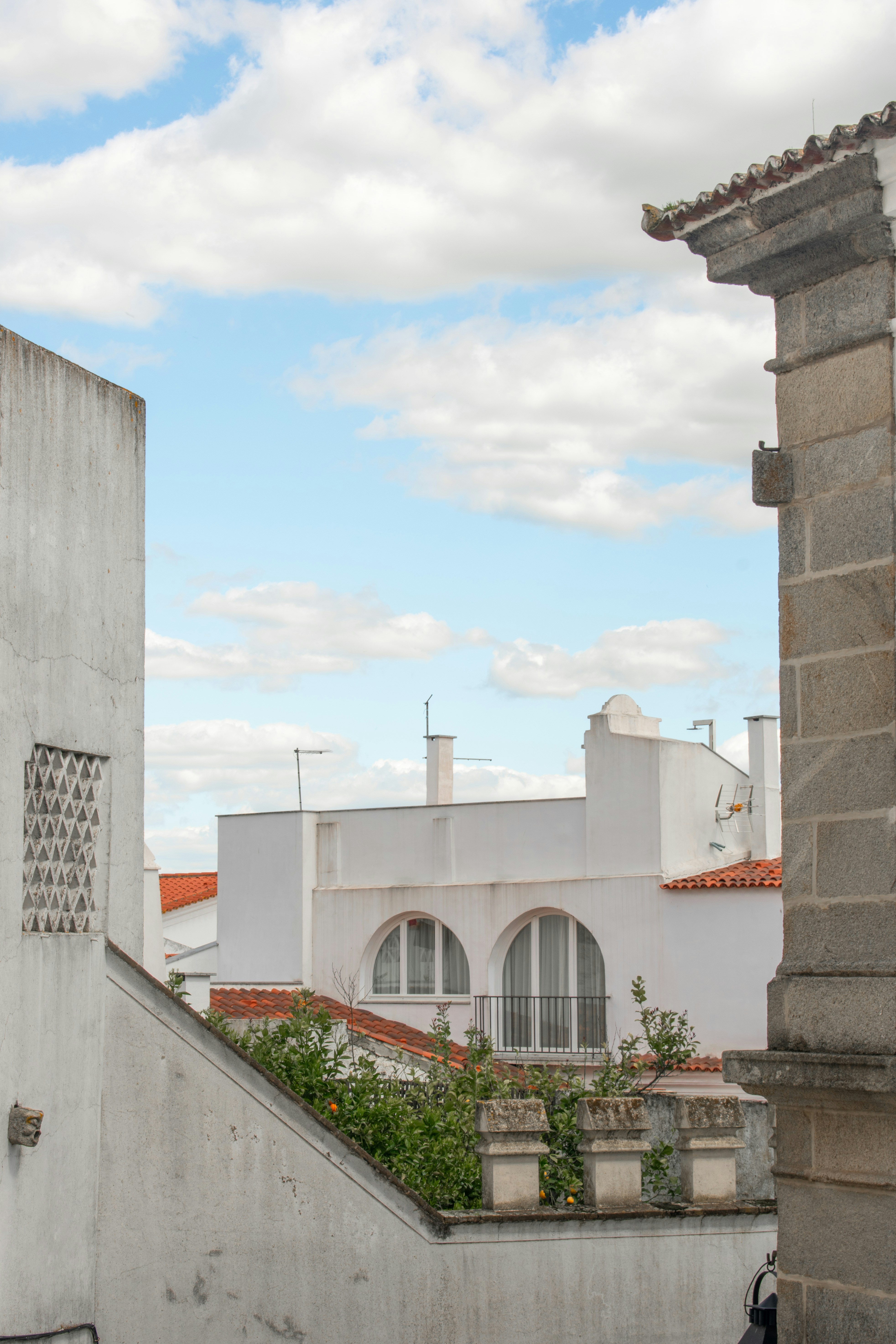 Culinary Traditions & Local Markets