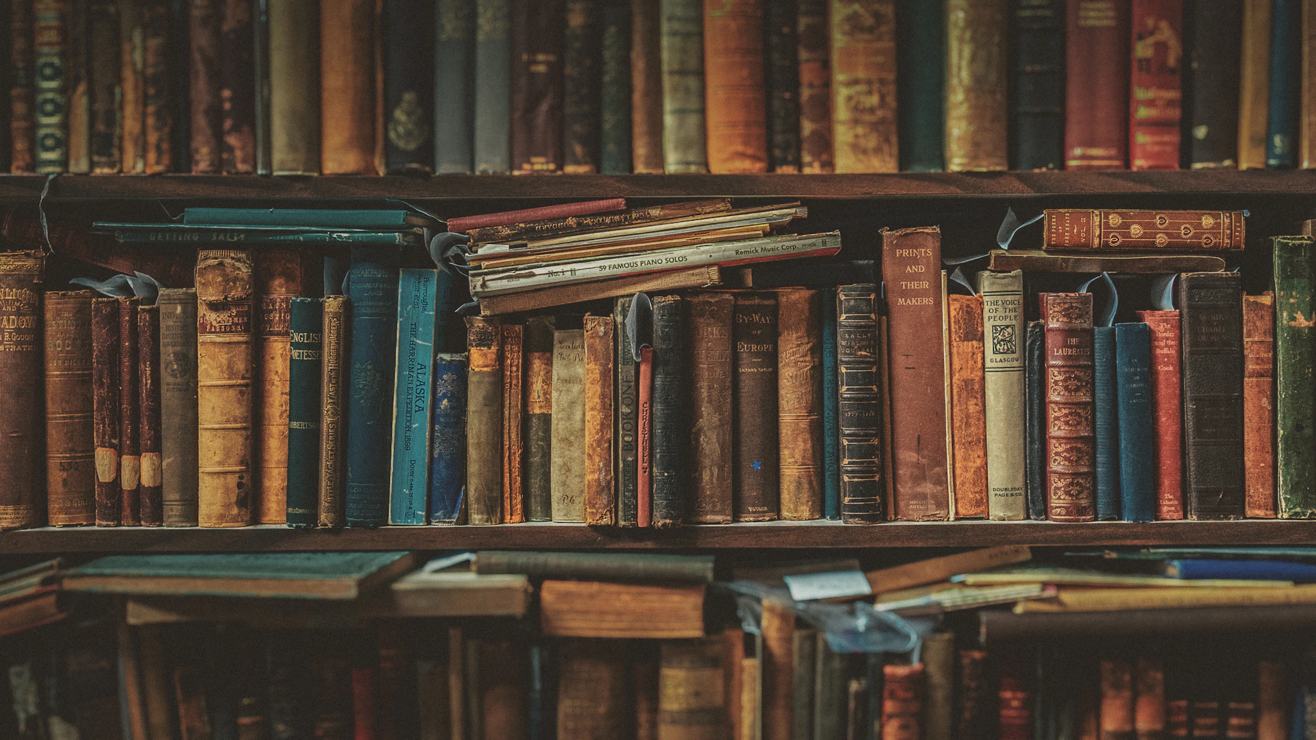 Books neatly stacked on a wooden bookshelf.