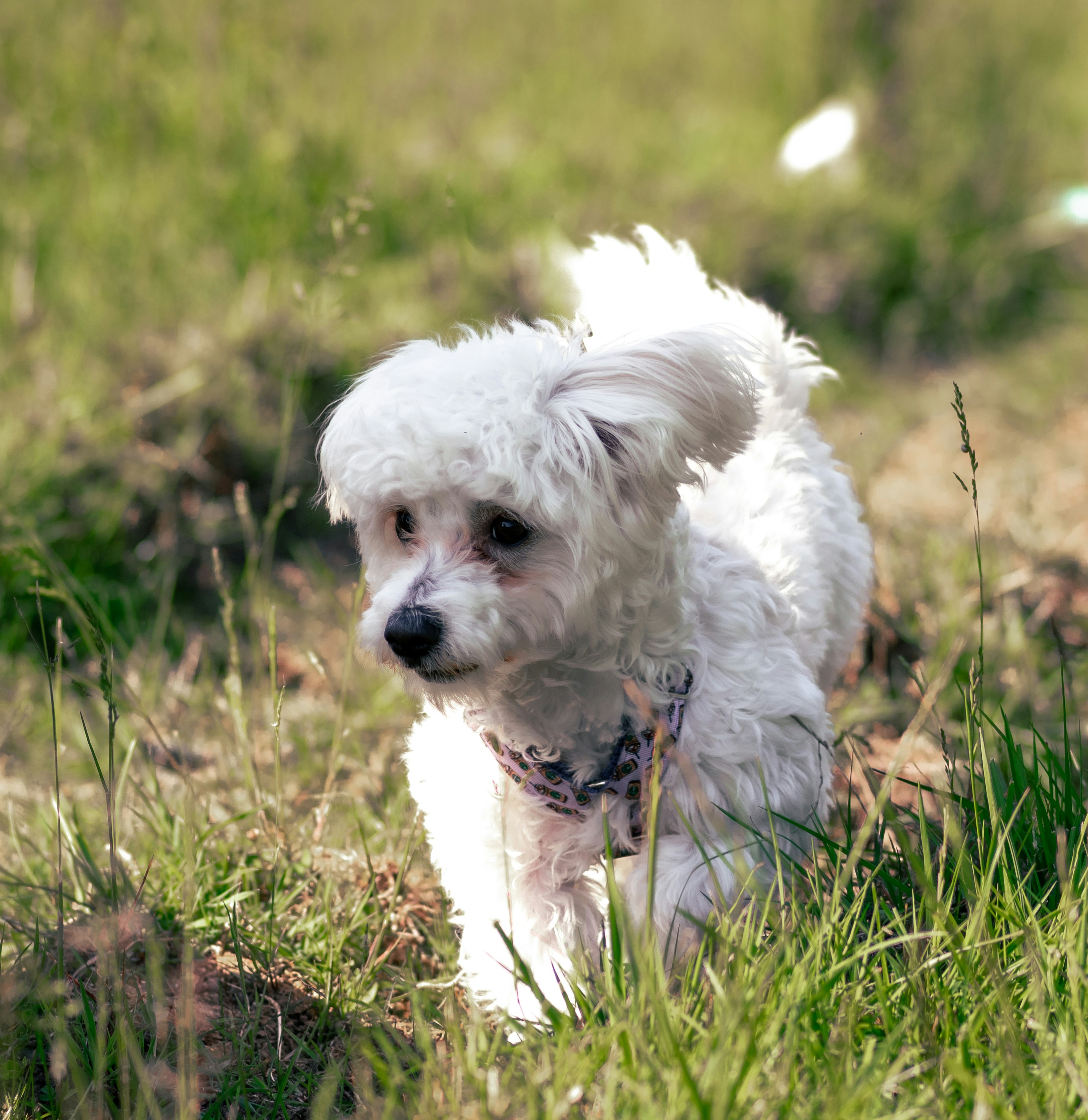 Photo by metalman343