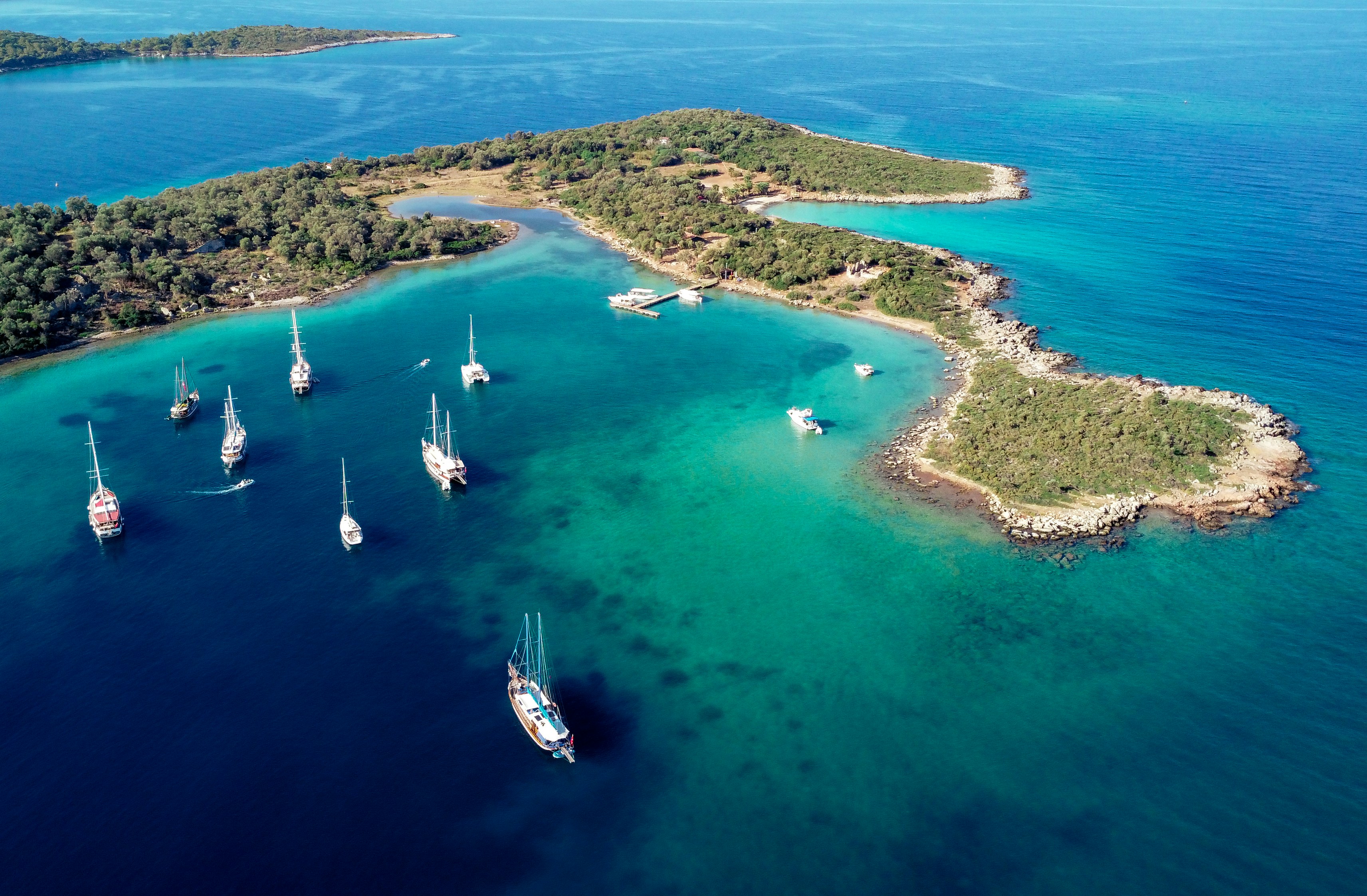 Photo by metalman343