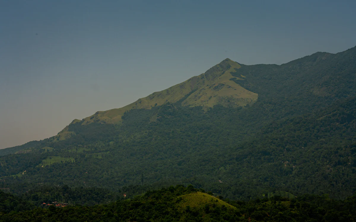 Megamalai