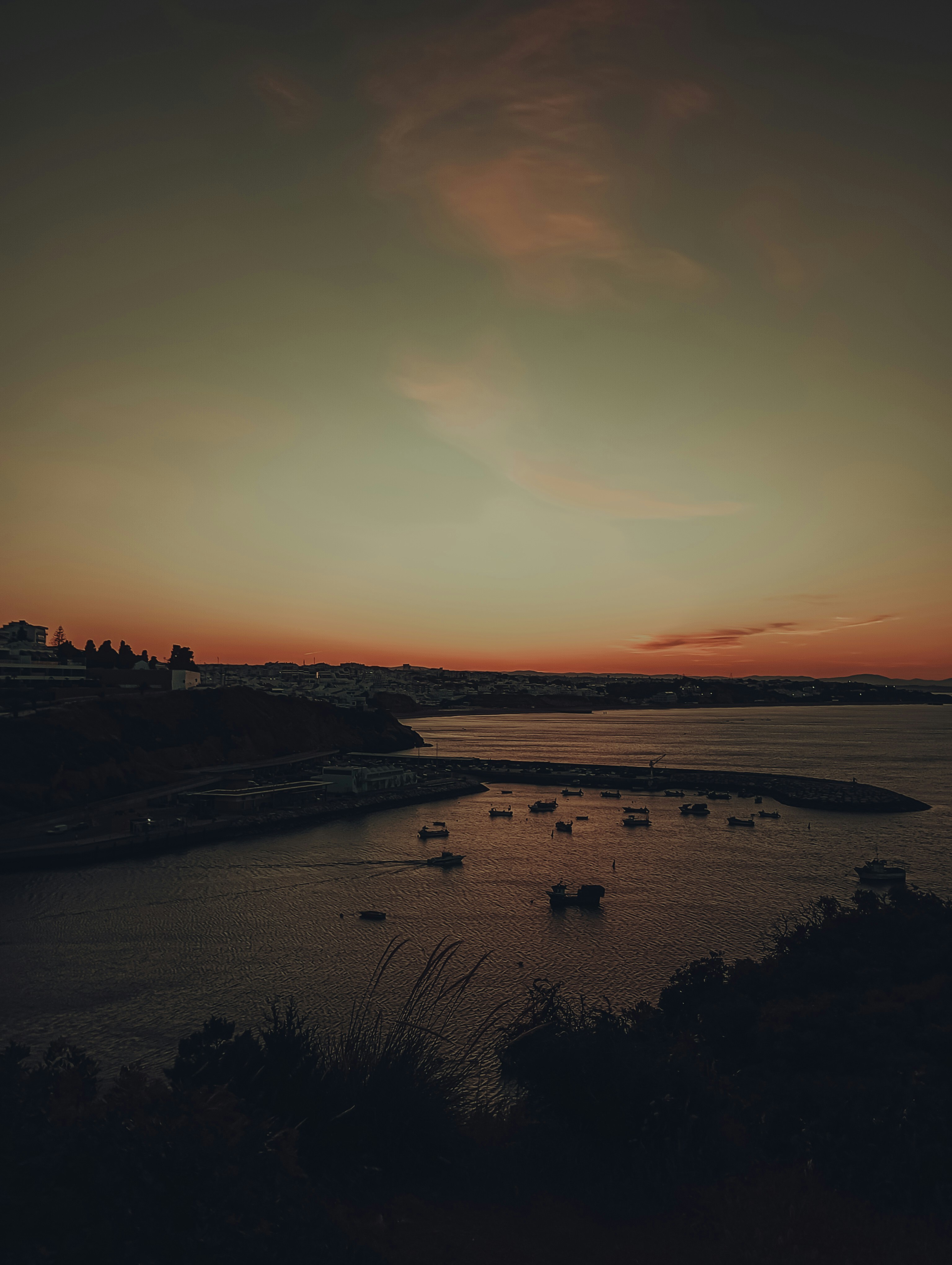 Photo by padi26