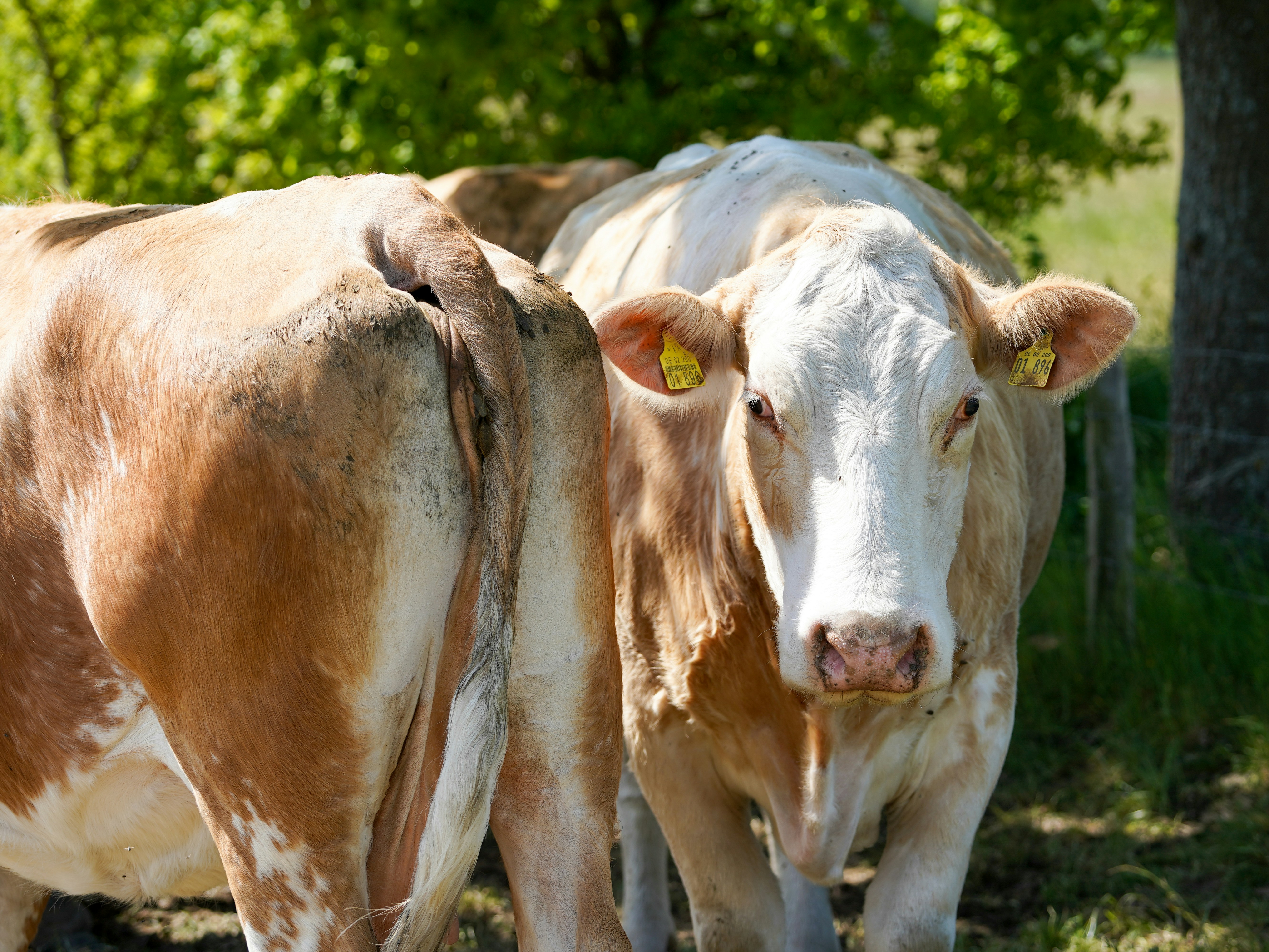 Photo by hamburgmeinefreundin