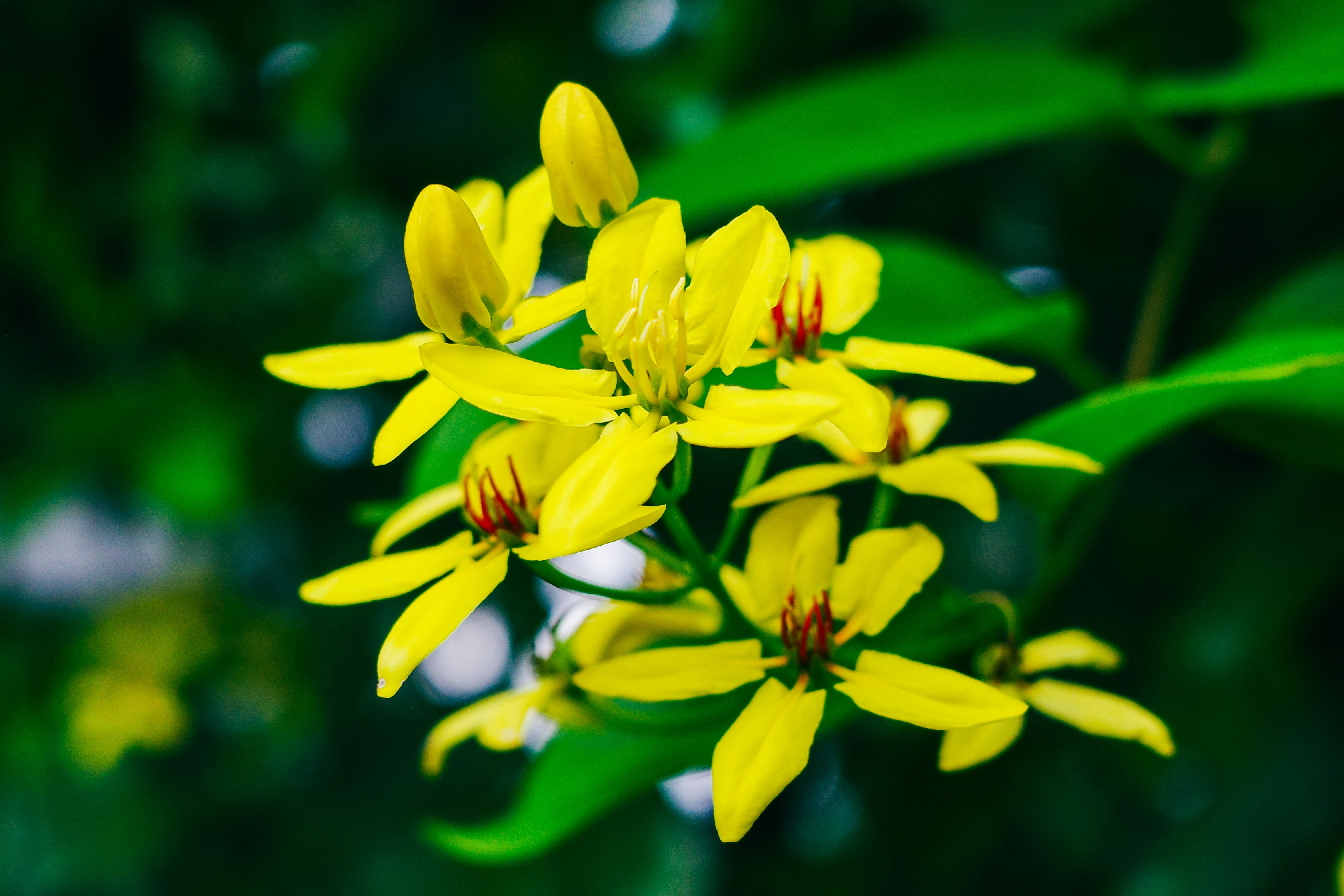 Photo by dickenslin76