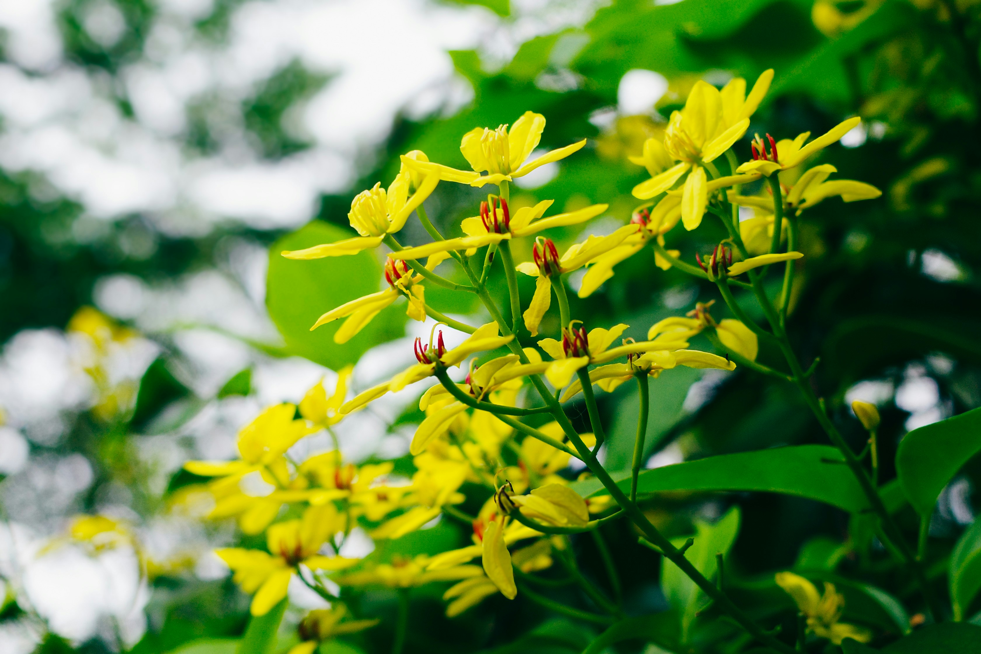 Photo by dickenslin76