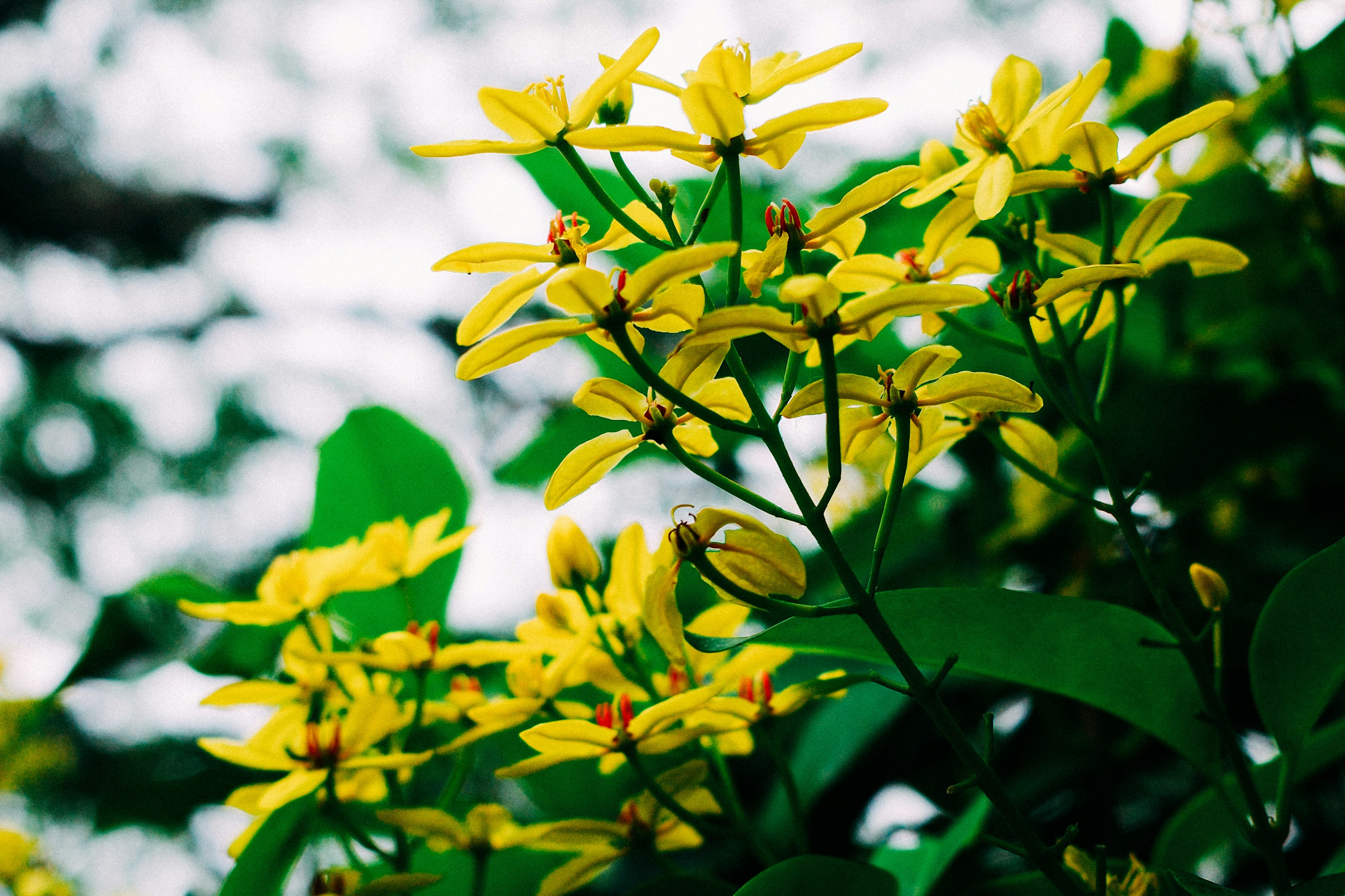 Photo by dickenslin76