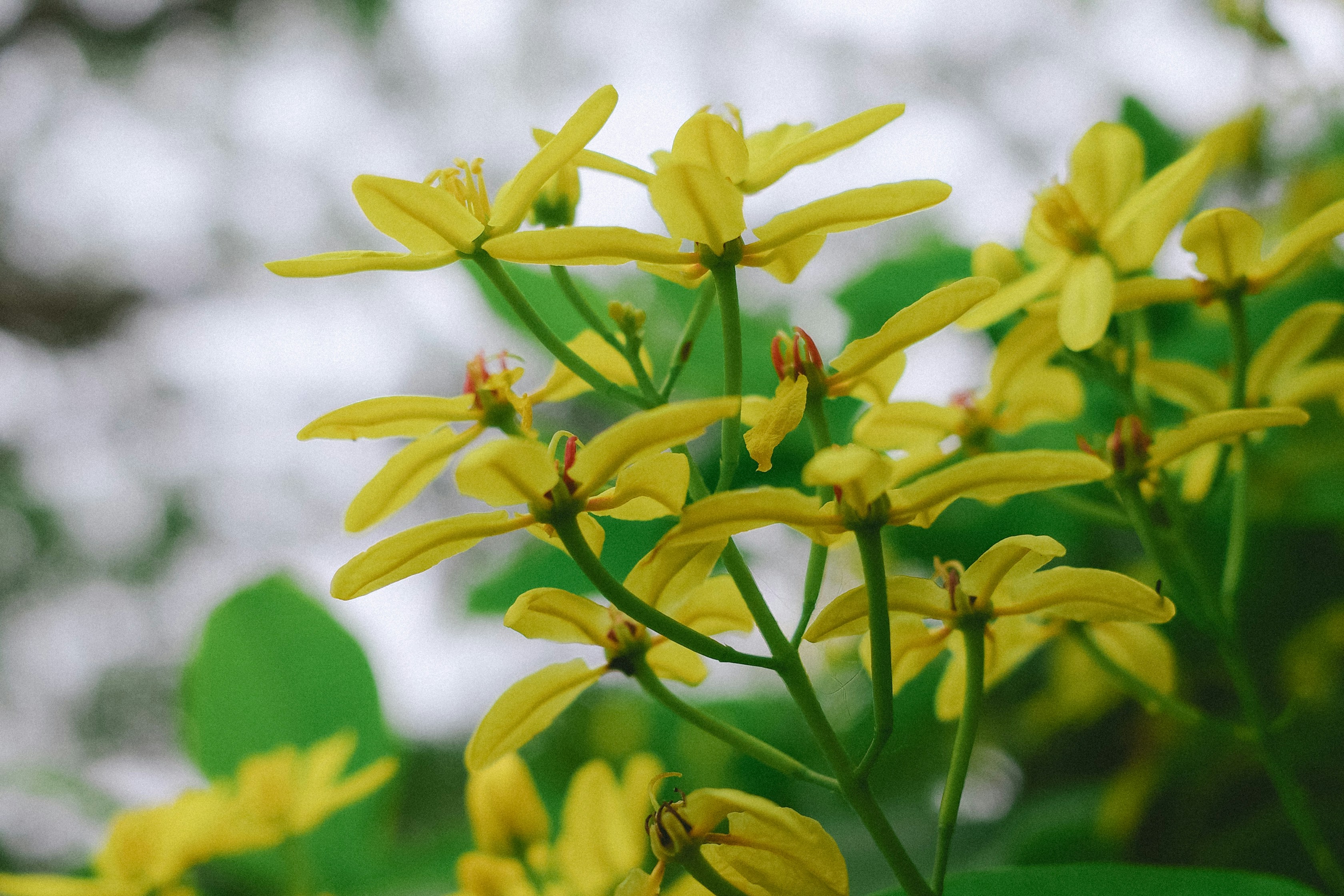 Photo by dickenslin76