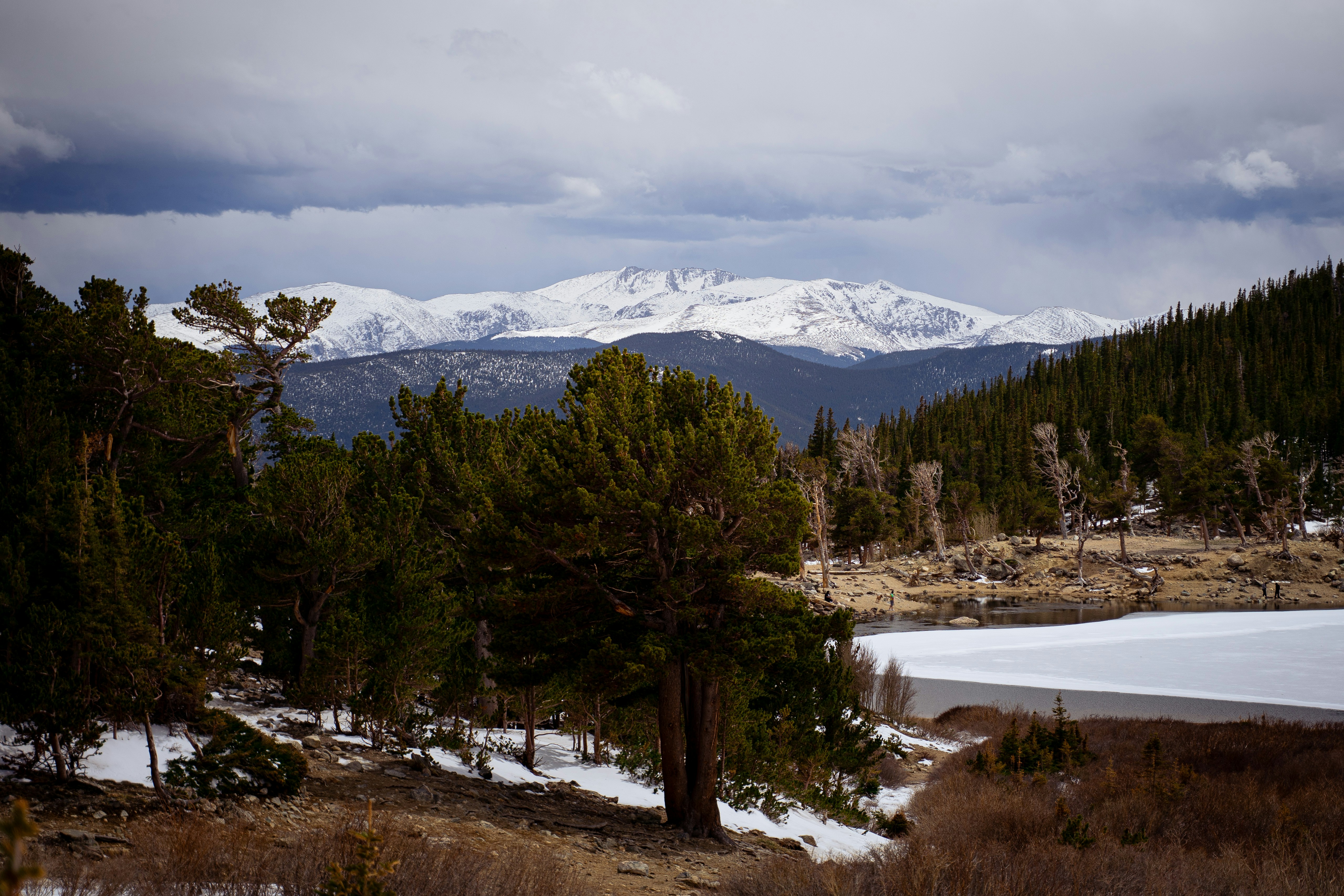 Photo by maxymvolkov