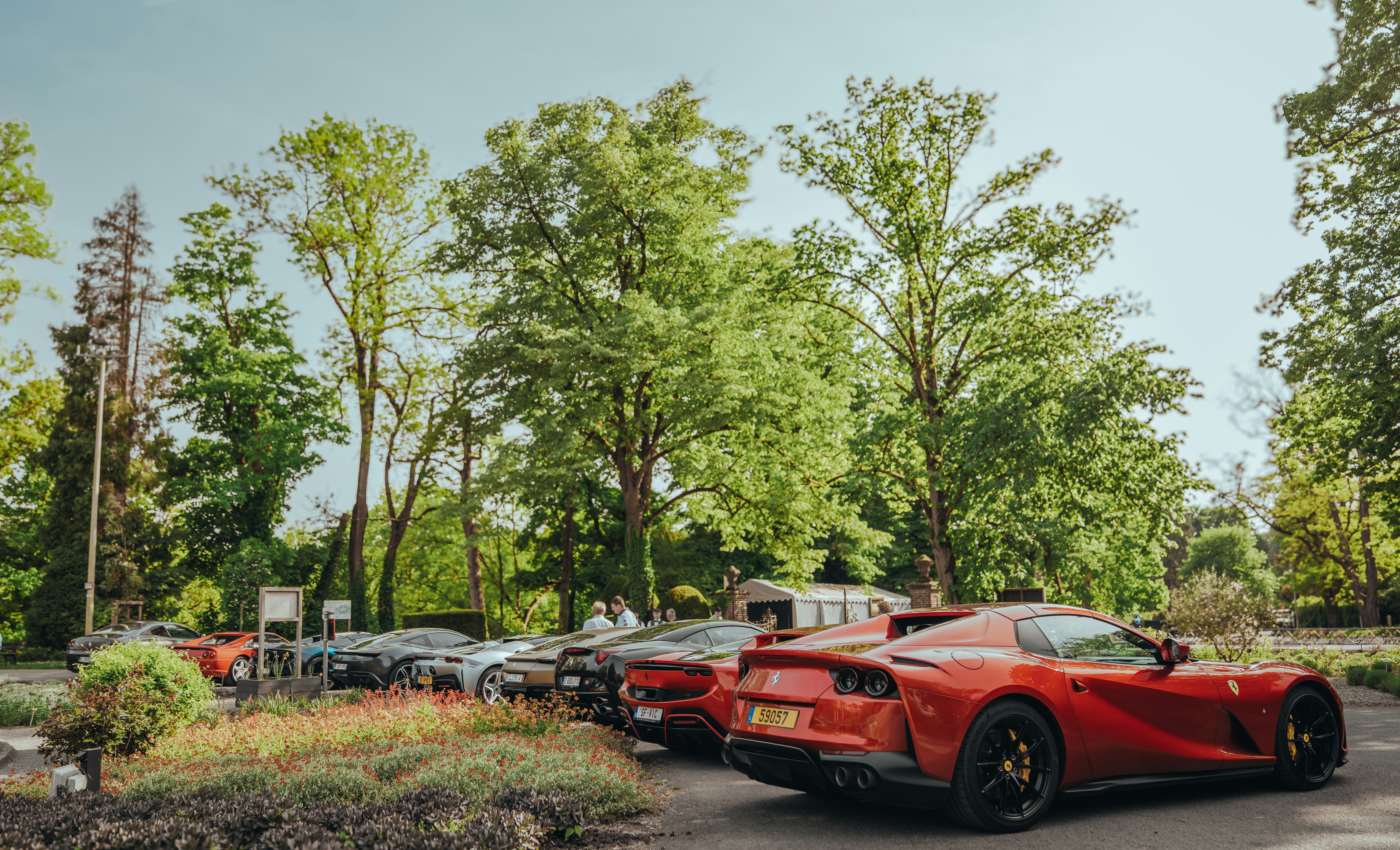 Luxurious red sports car parked near trees.