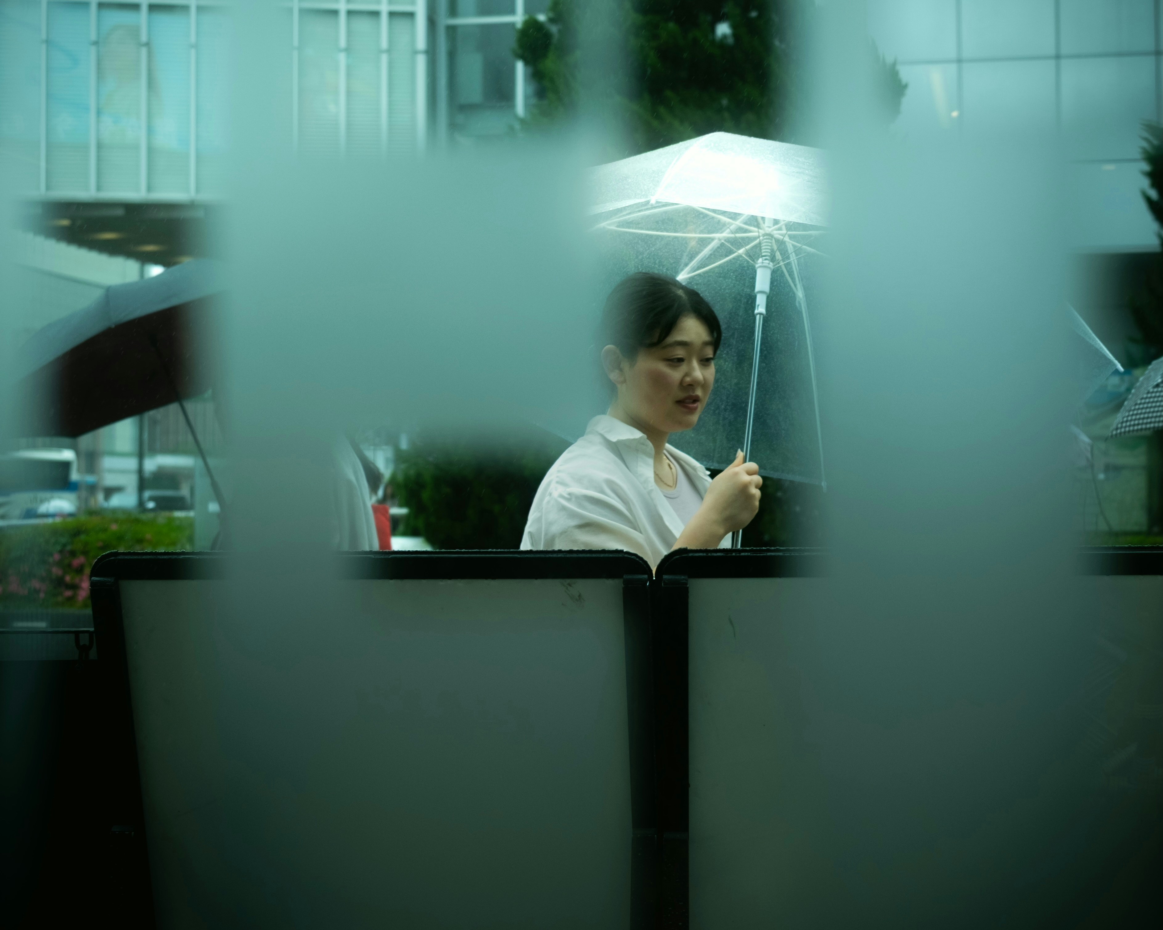 Person applying transparent insulation film to a windowpane