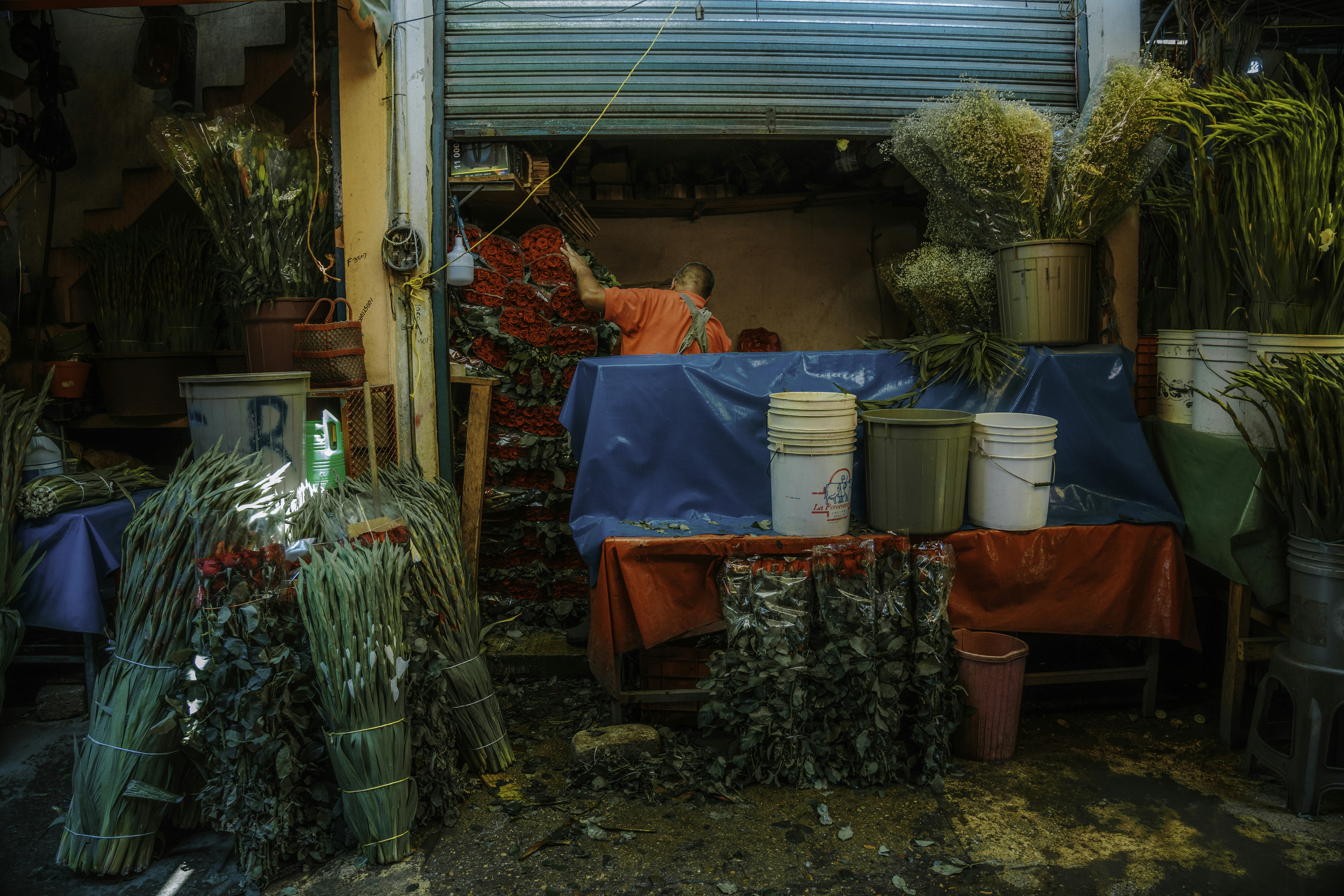 Photo by matthewryanstephenson