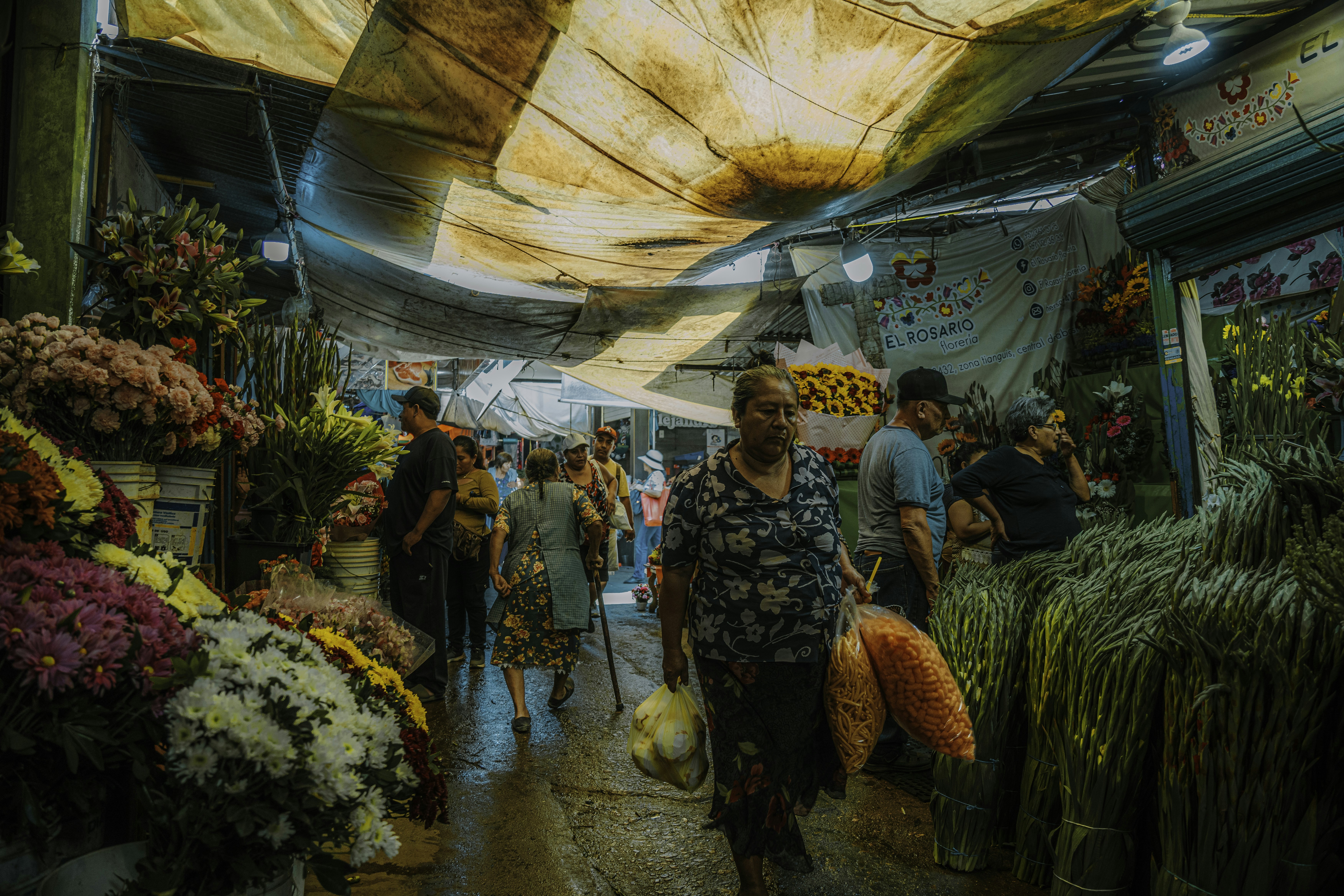 ETH, SOL, ADA впали на 5% через торгові загрози Трампа та розпродаж облігацій, що викликало ризикованість у криптовалютах.