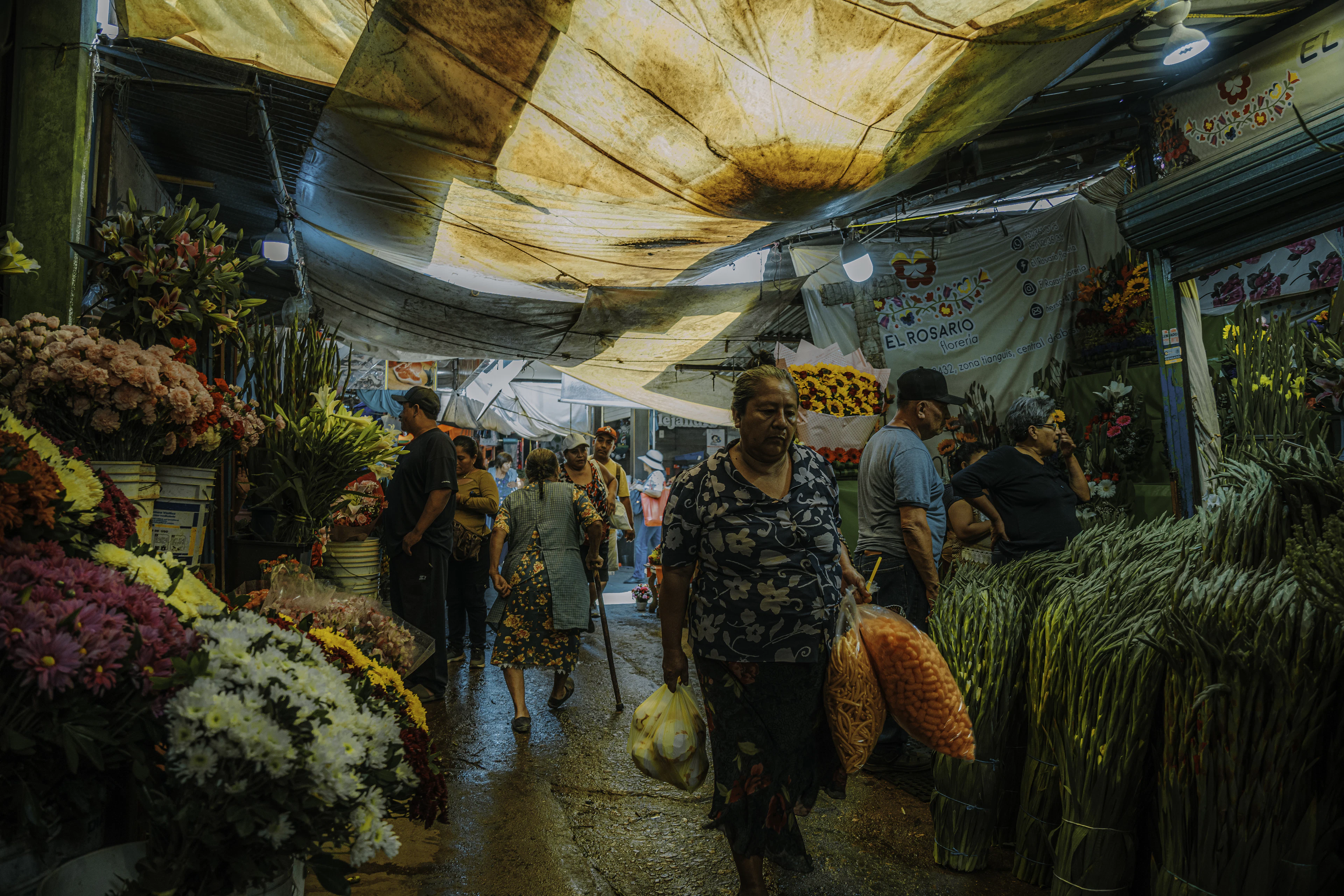 Shoppers among flower and greenery stalls in a market in Mexico City