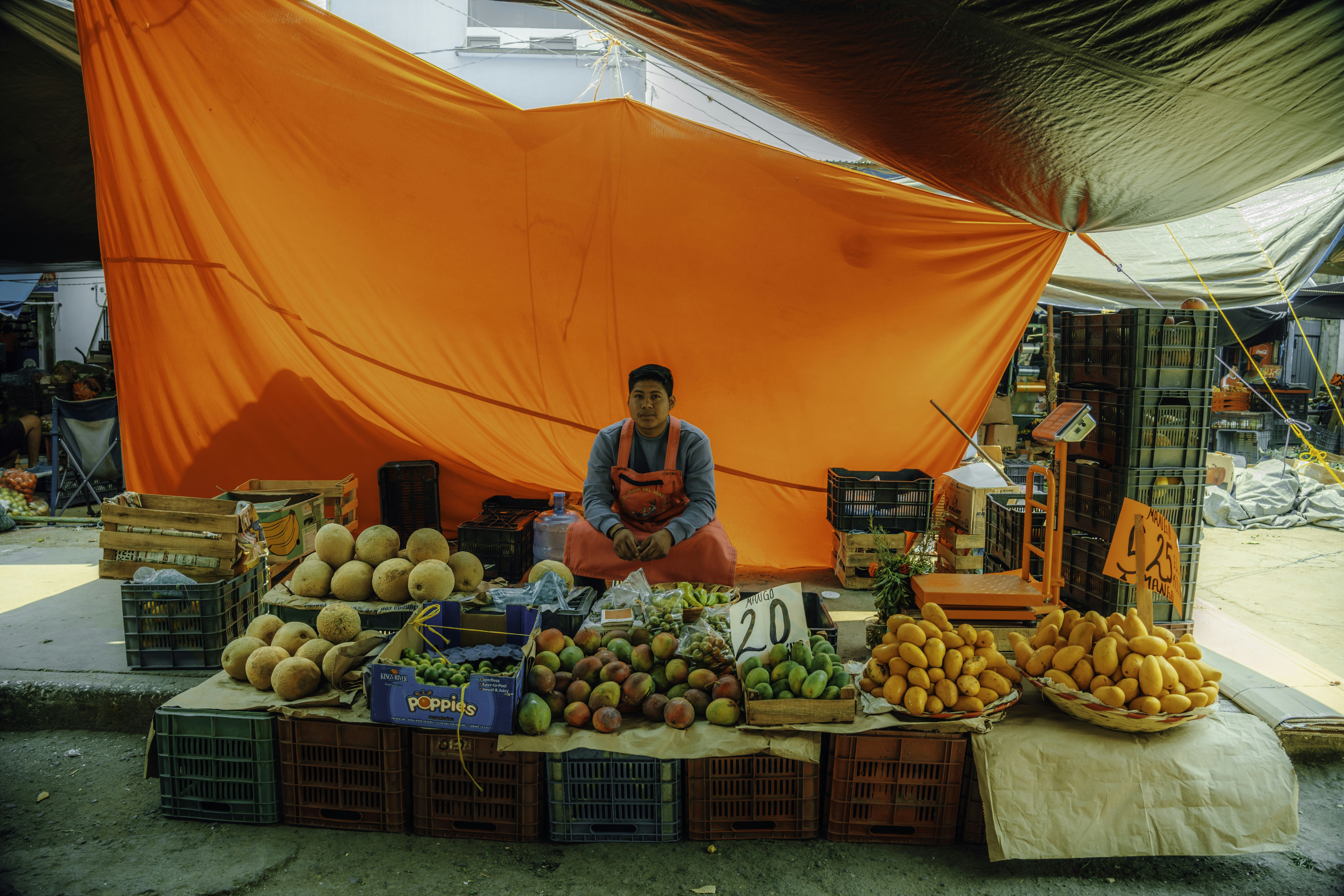 Market scene in Mexico City with colorful fruit stall