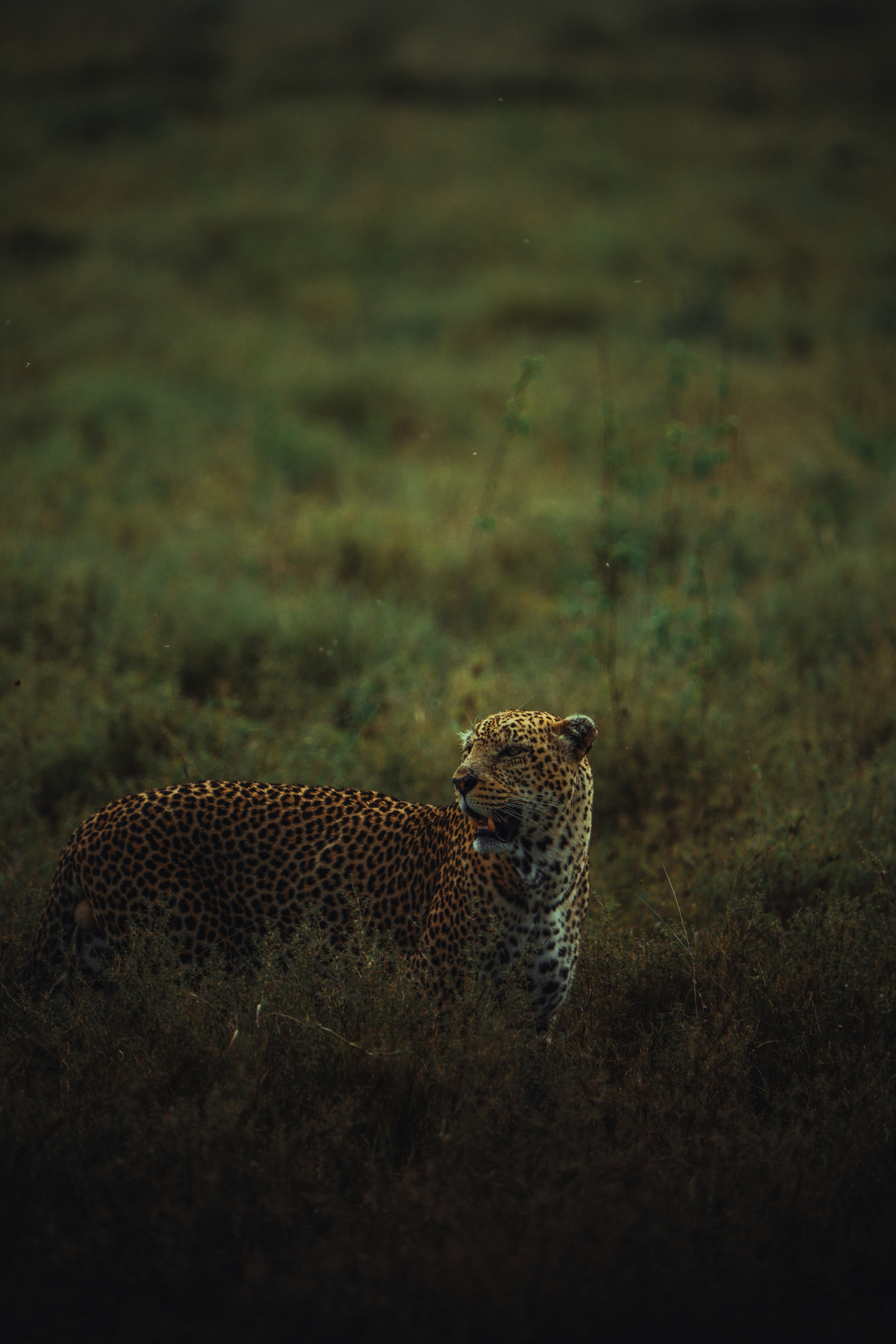 Photo by matthewryanstephenson