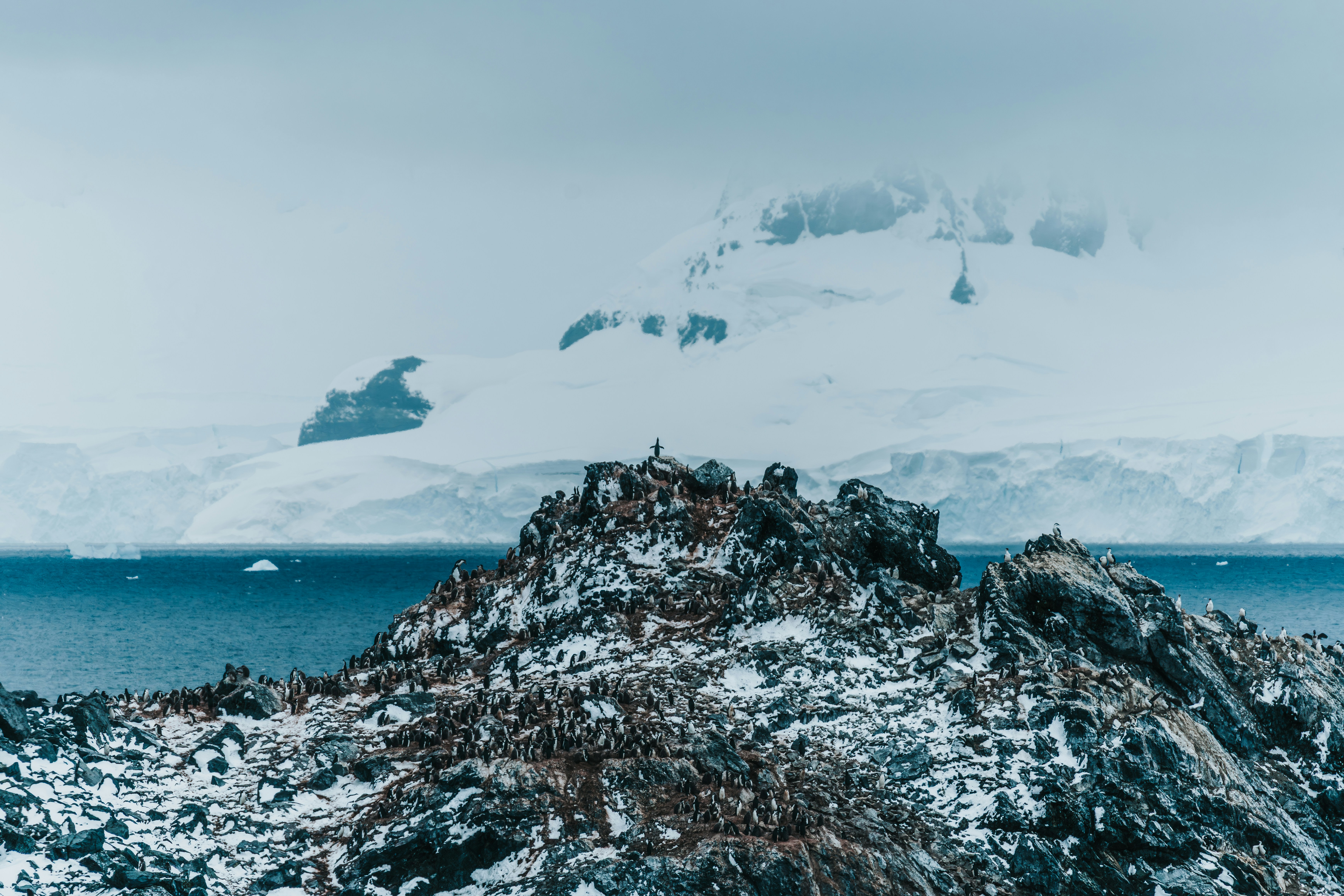 Drake Passage Expedition