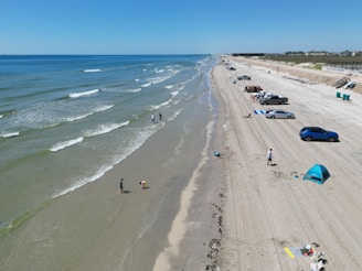 People enjoy a sunny day at the beach.