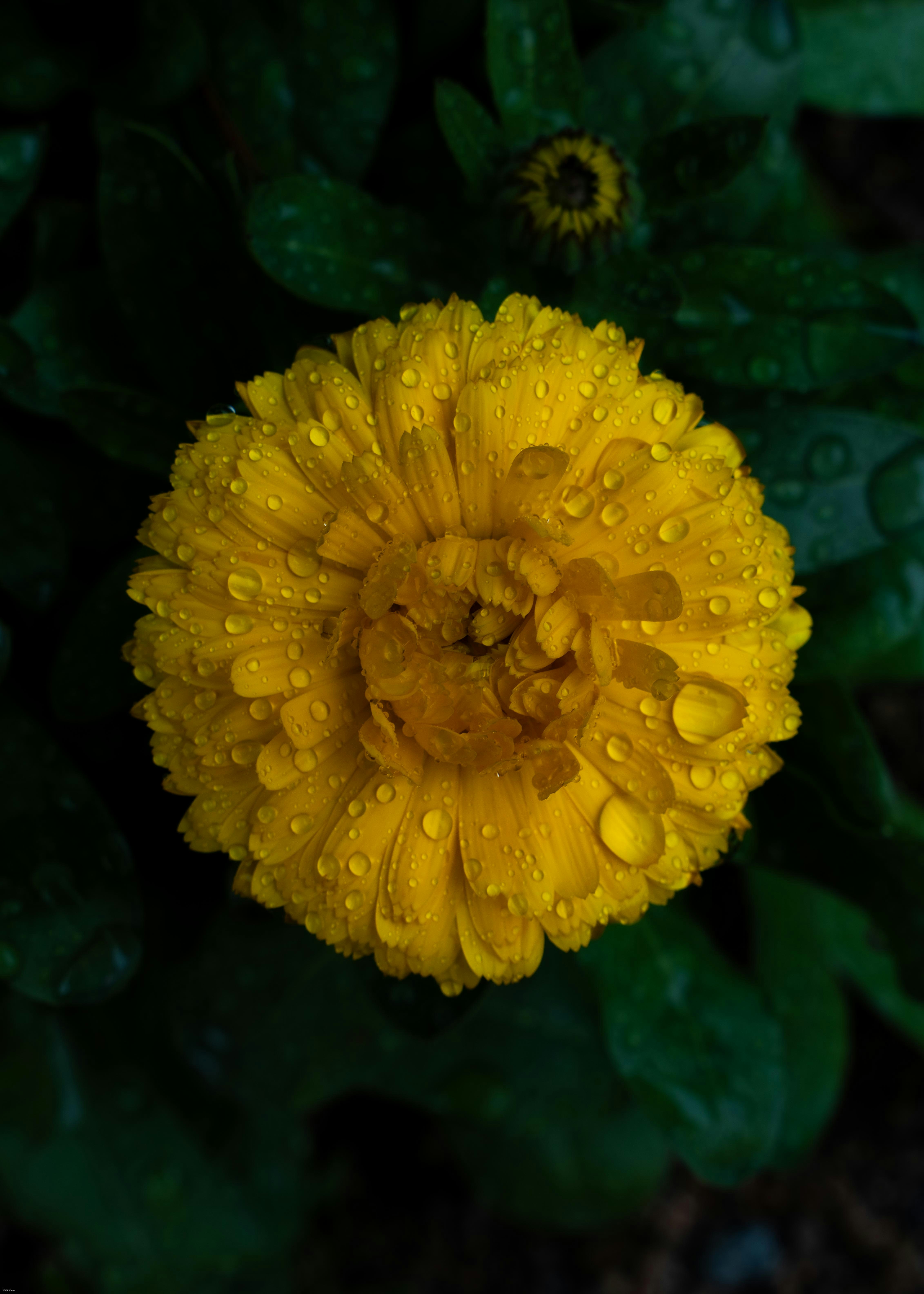 Photo by jinhan_photo