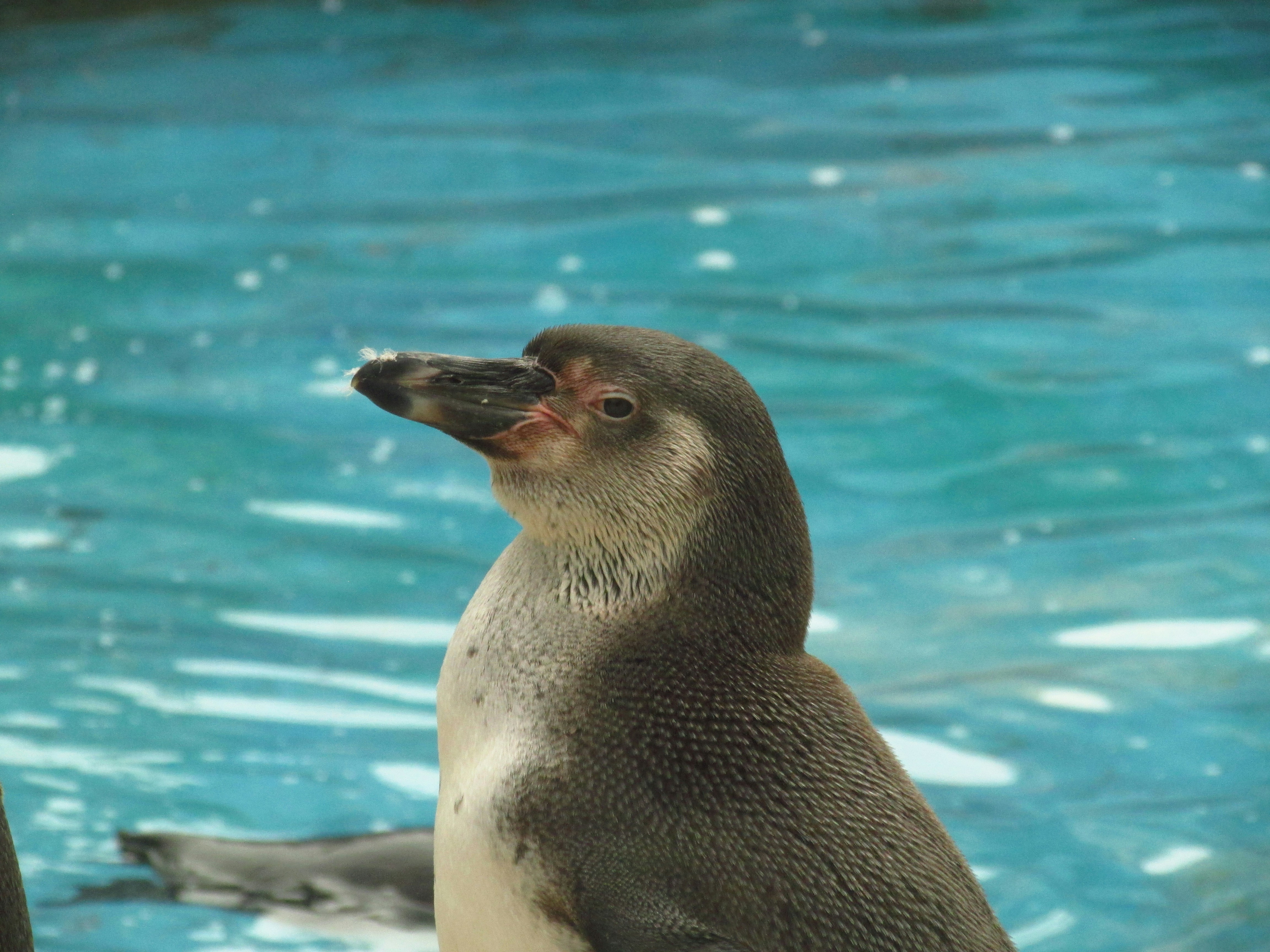 Photo by aldair_ptho