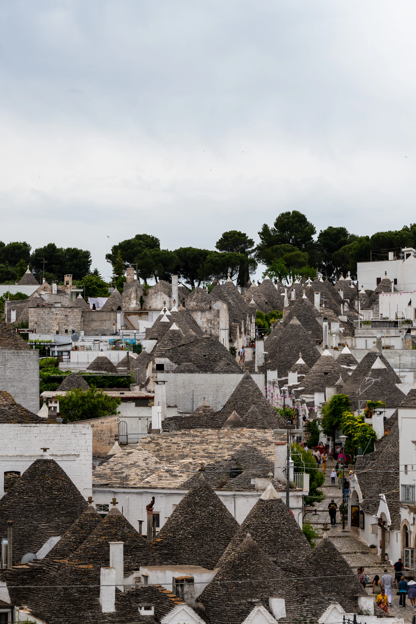 Traditional trulli houses in Puglia Italy with their distinctive grey conical stone roofs crowded together in a village view showing multiple cones rising against a soft Italian sky
