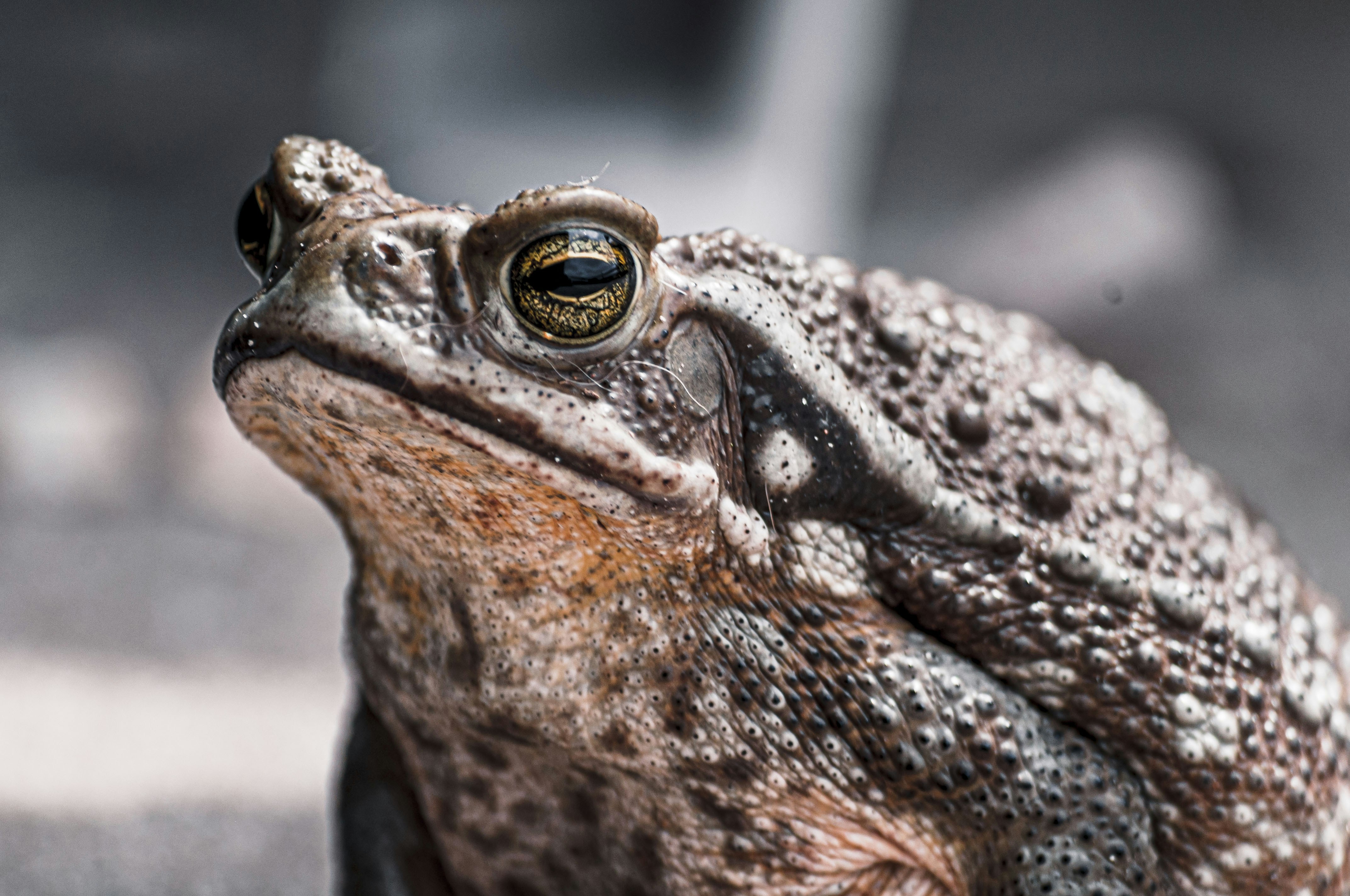 Photo by photostockphoto