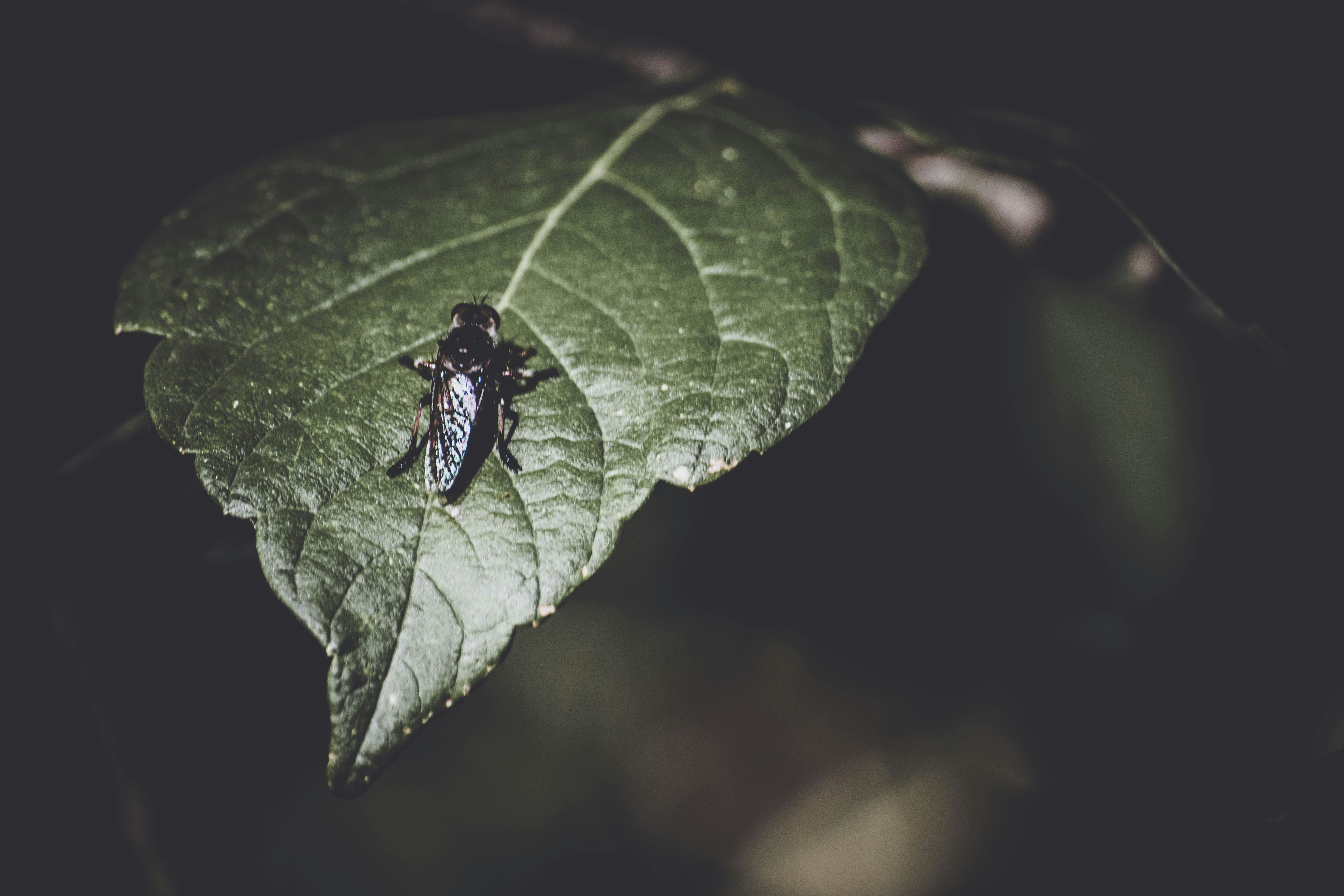 Photo by photostockphoto