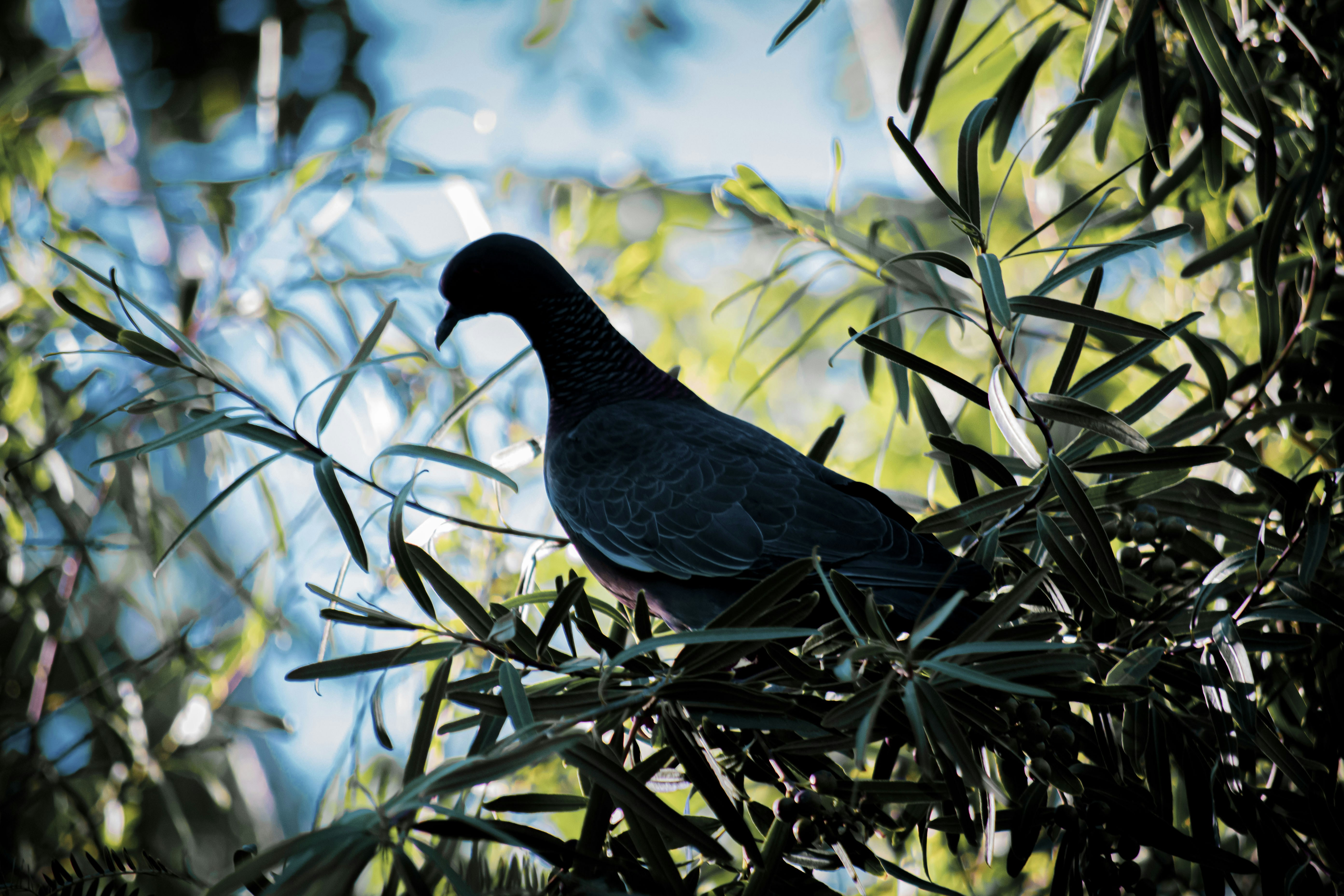 Photo by photostockphoto