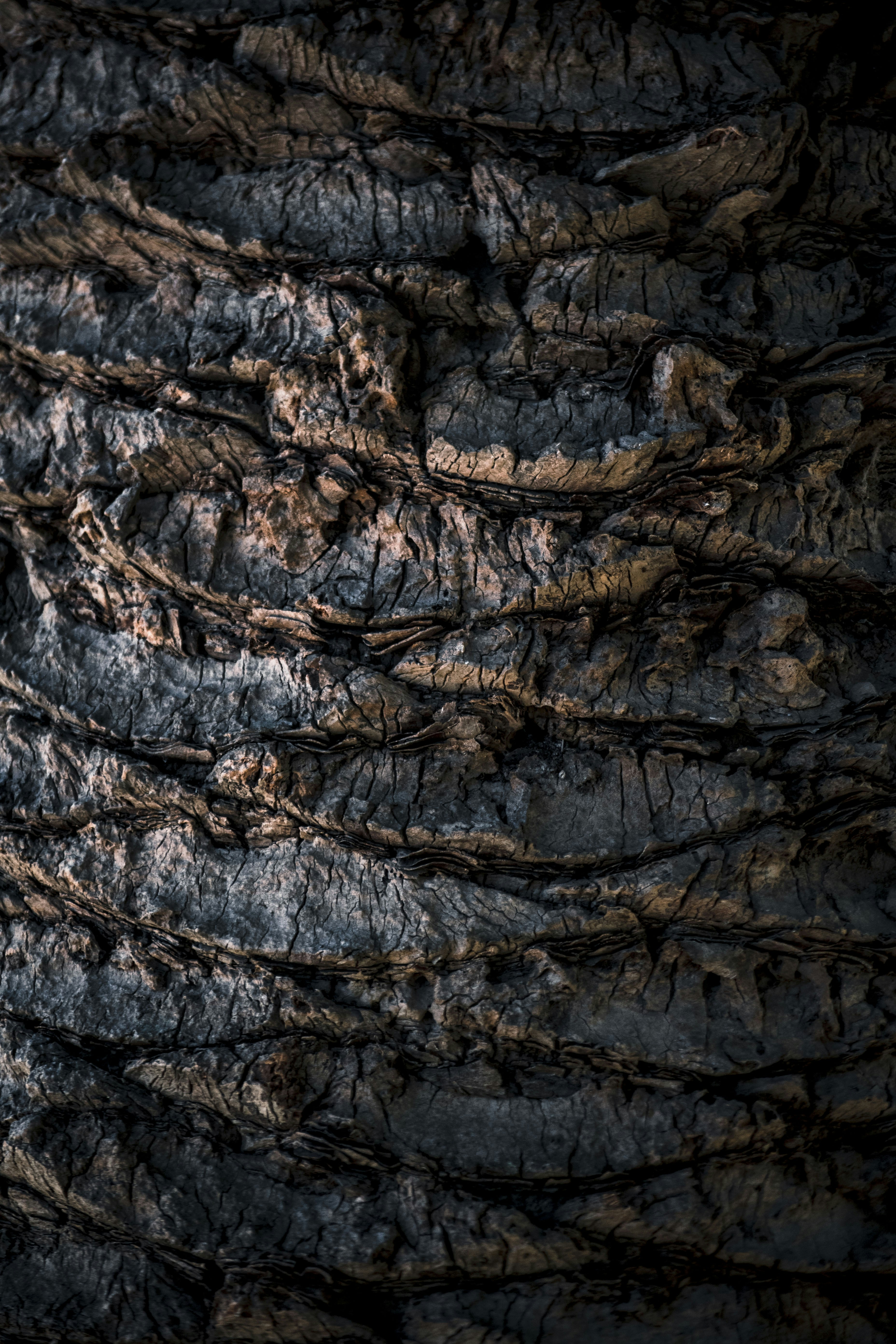 Photo by photostockphoto