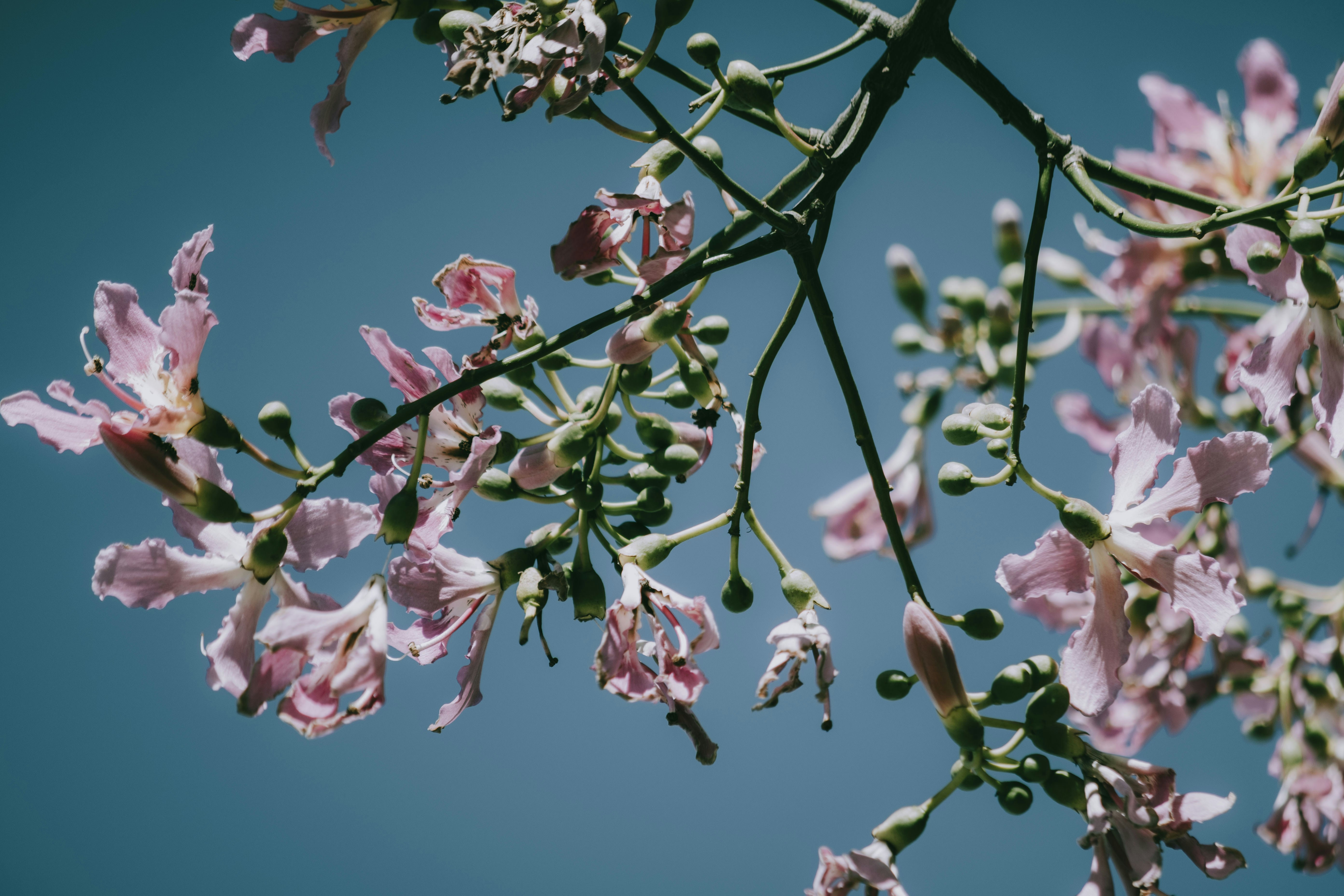 Photo by photostockphoto