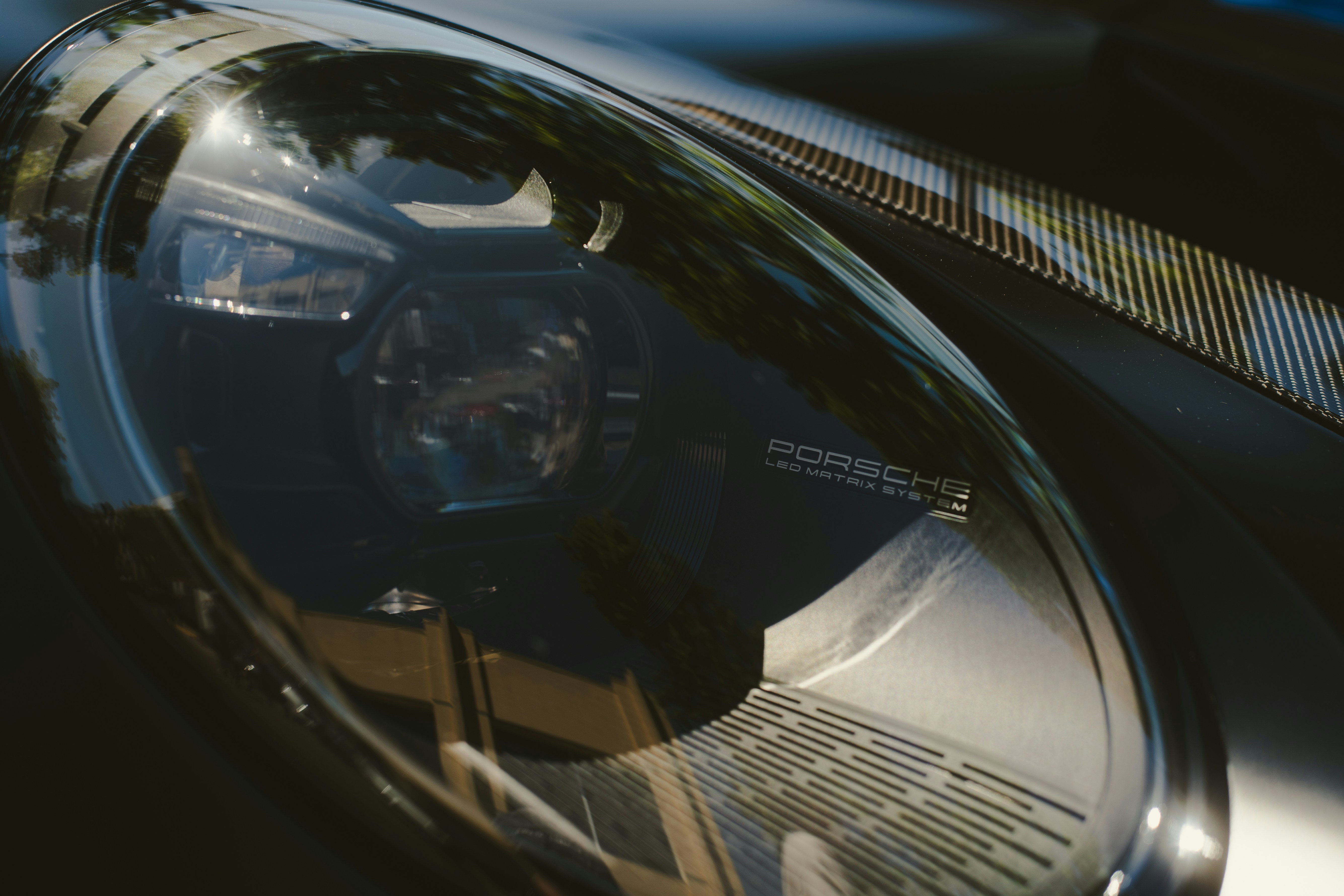 Photo by madeline_sd