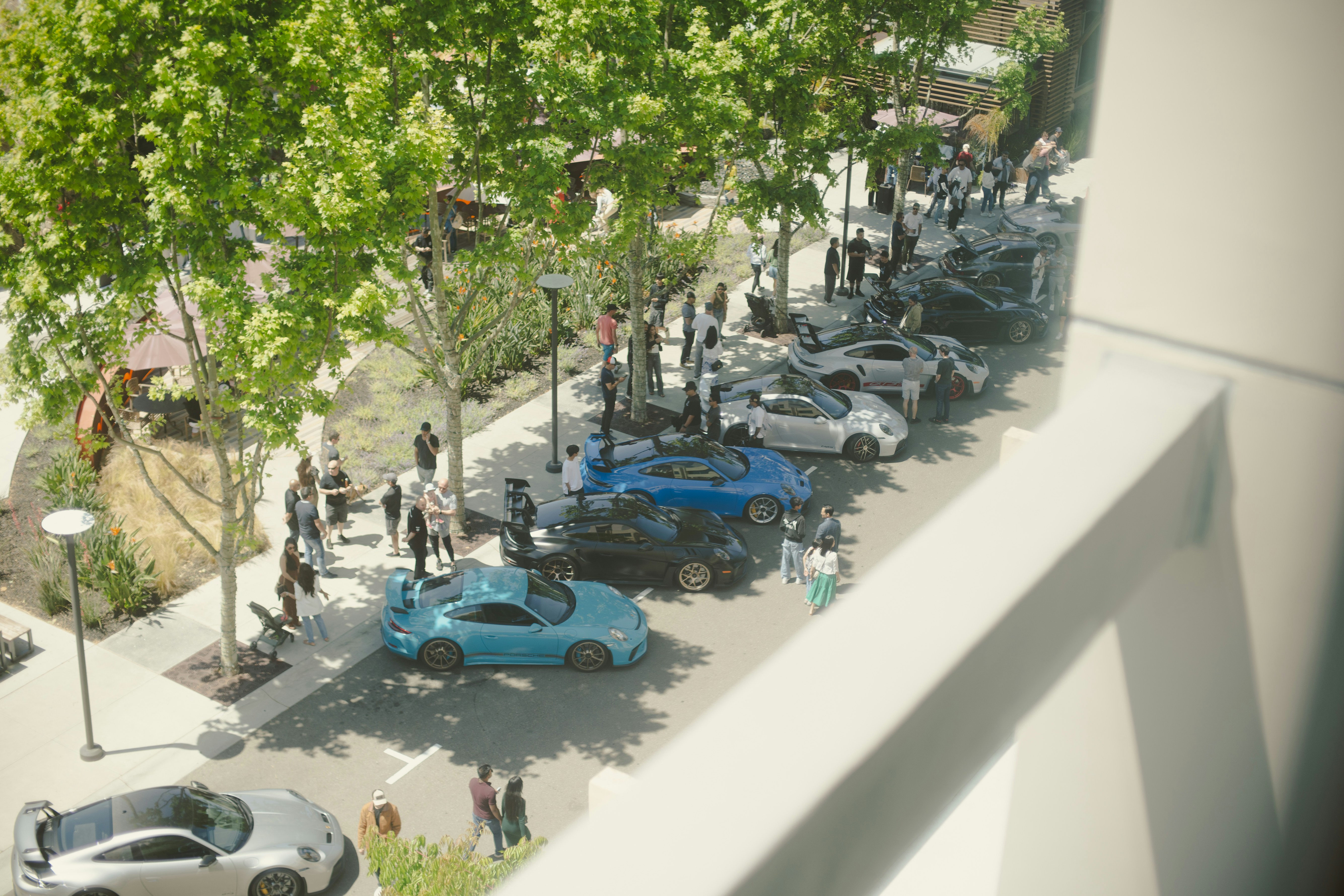 Cars and people are gathered on a tree-lined street.
