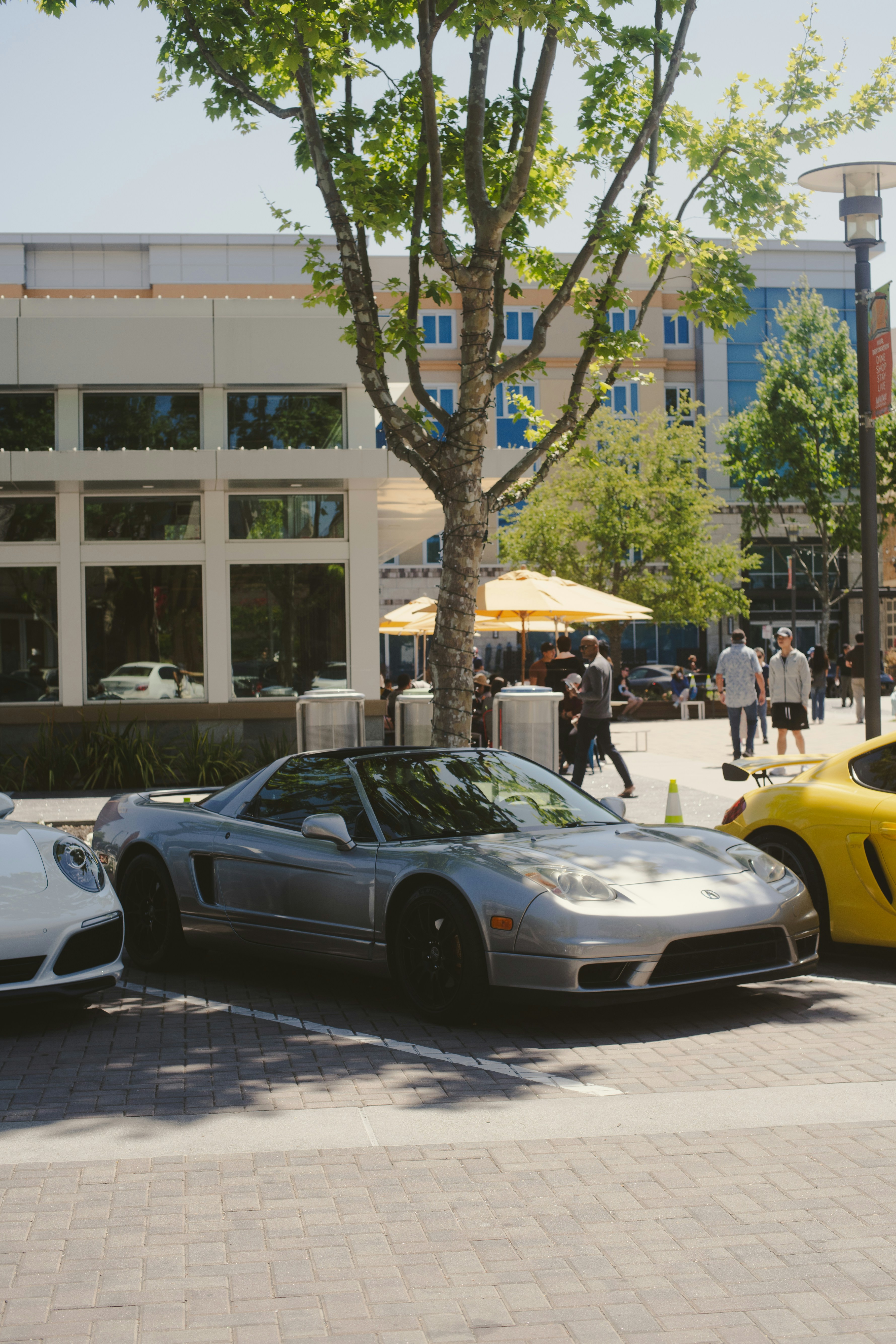 Photo by madeline_sd