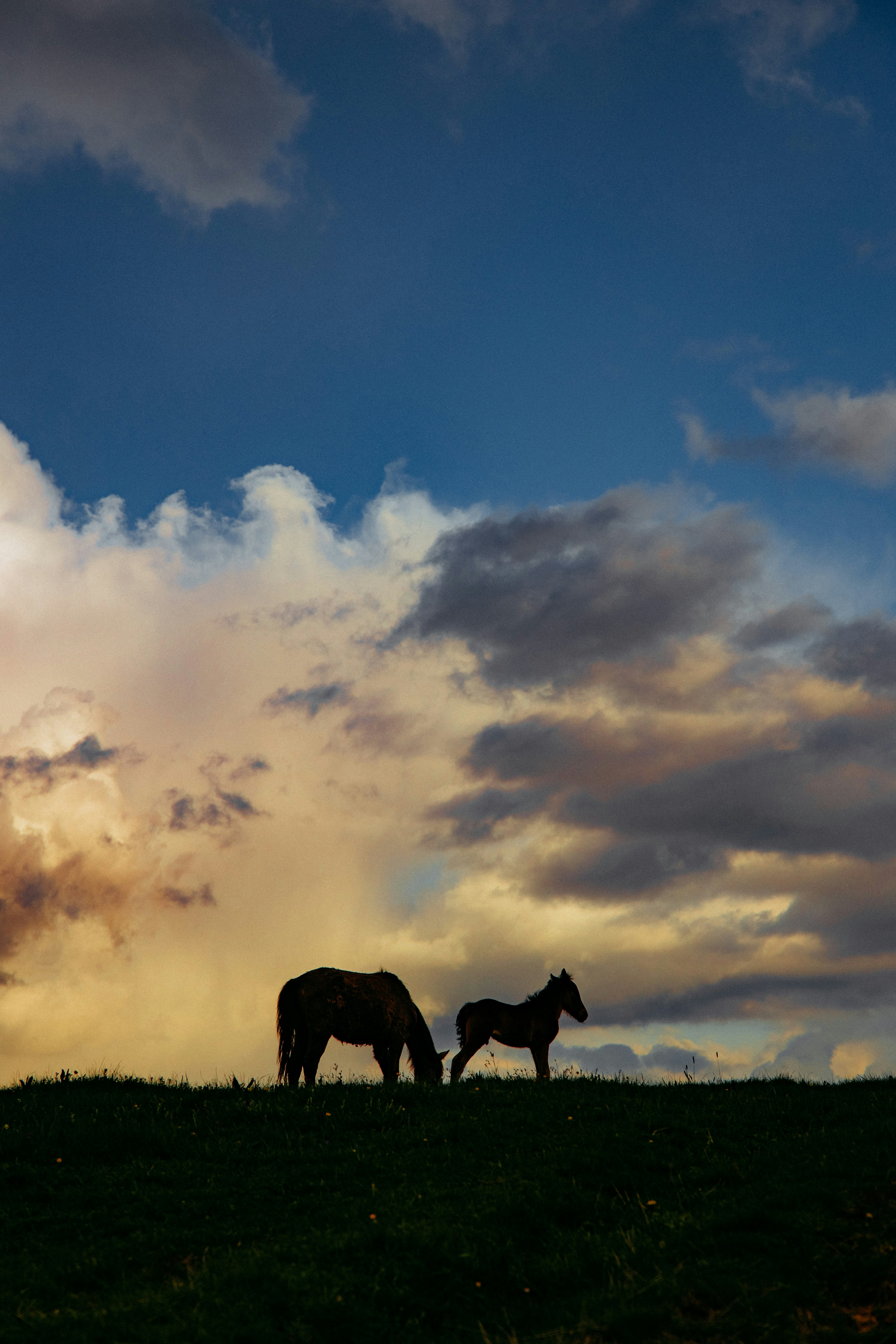 Photo by redinsun_travel