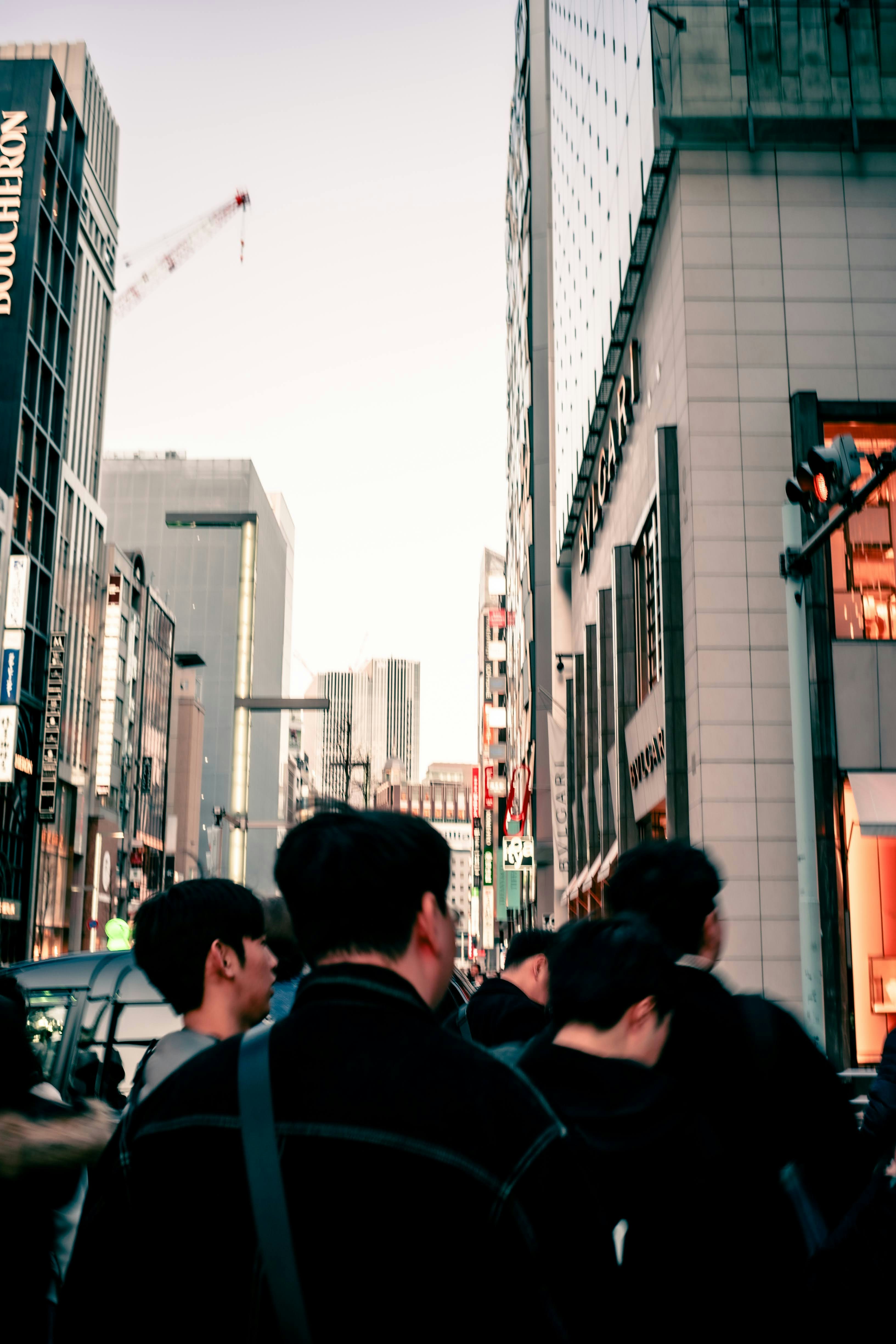 Photo by madeline_sd