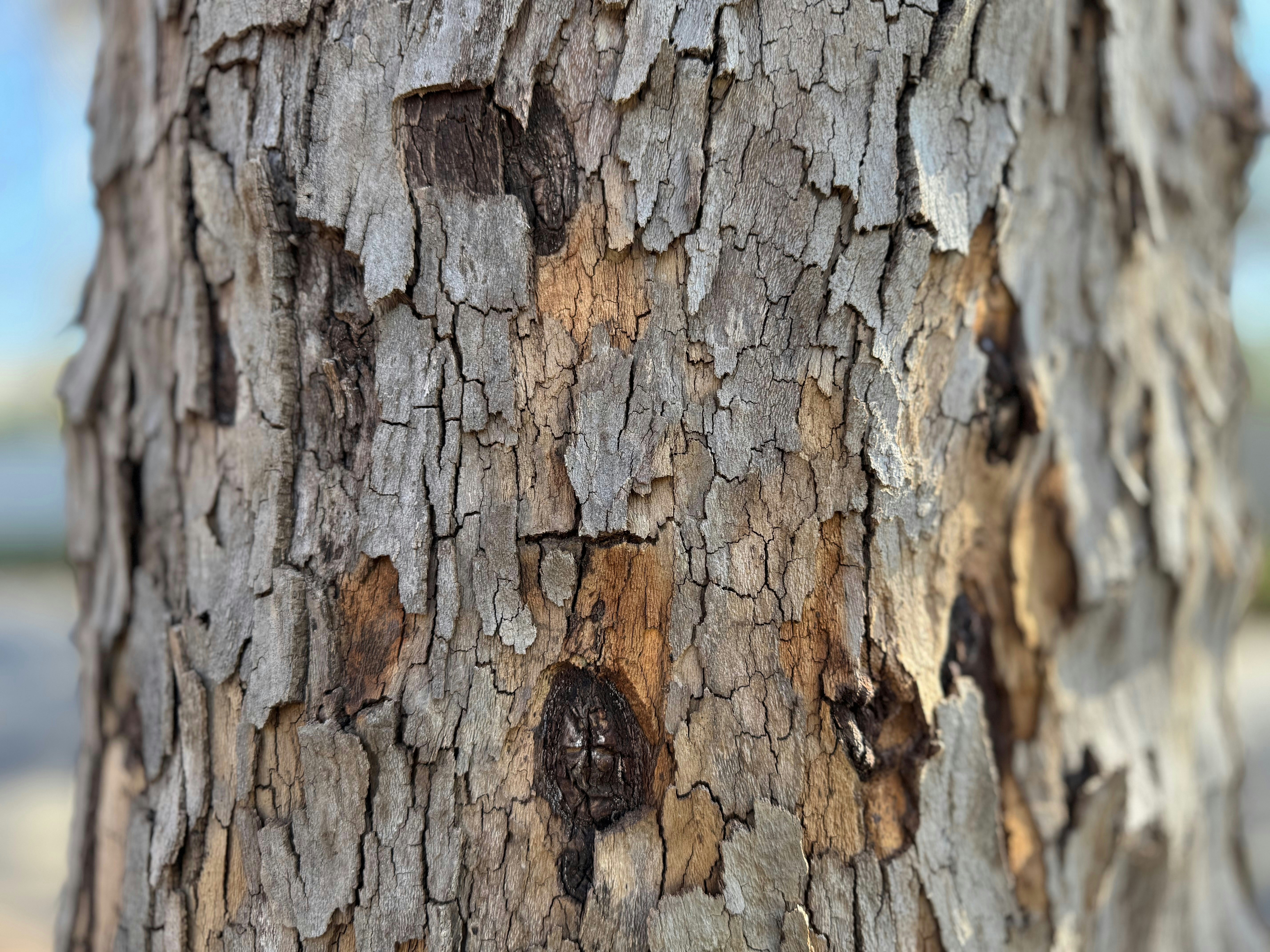 Photo by jonathanburger