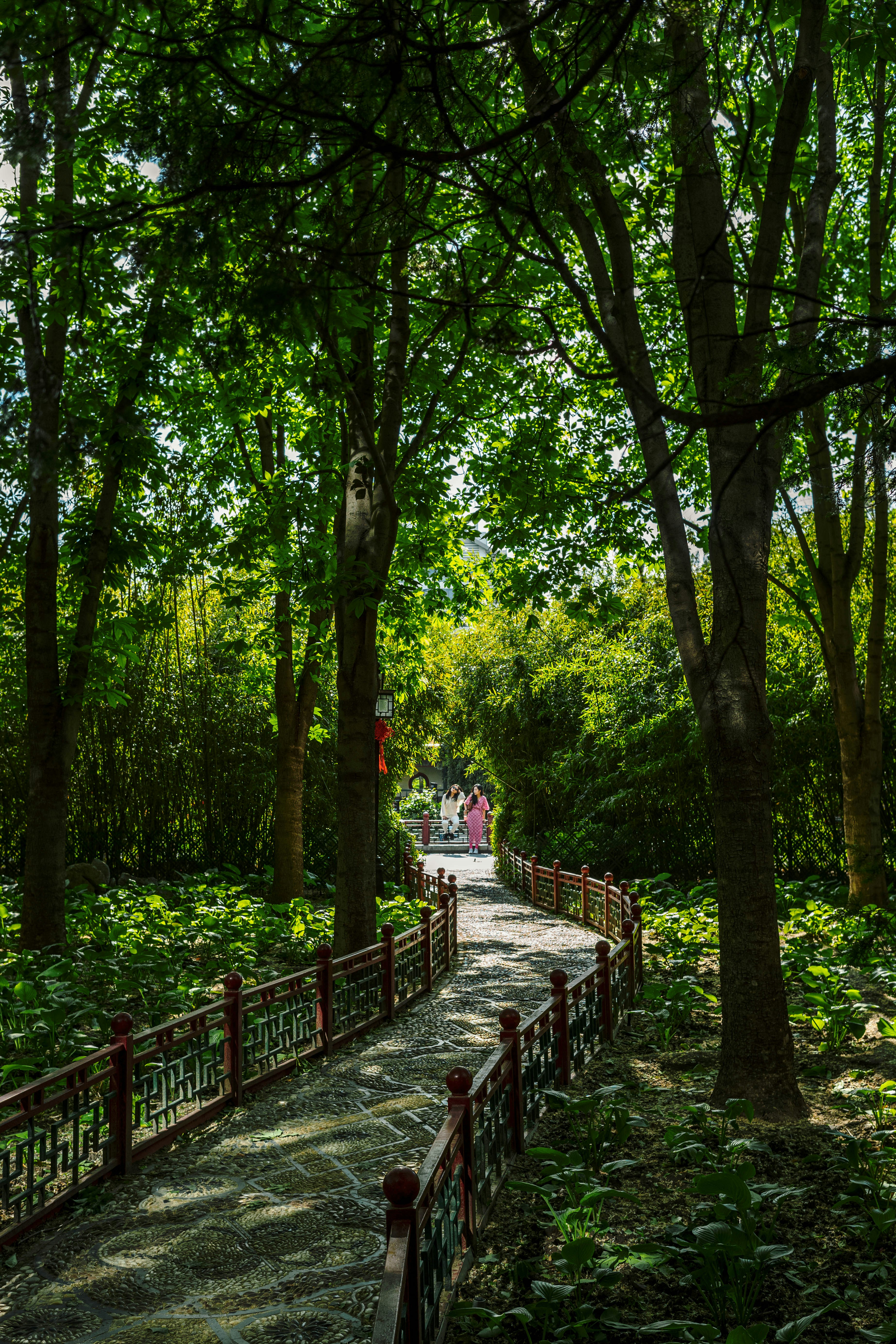 Photo by tommaomaoer