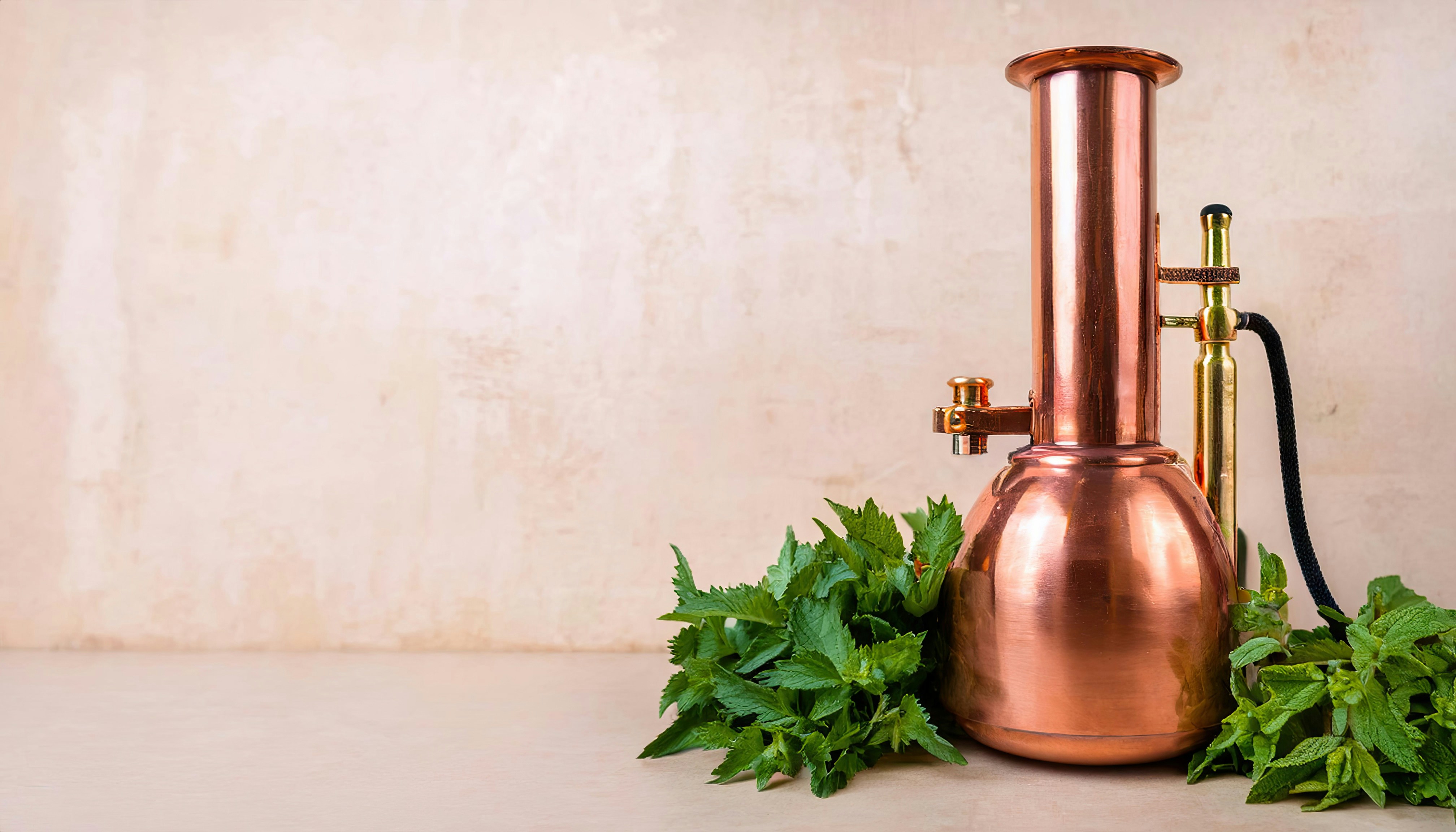 Combermere distillery’s global success spotlights Cheshire East innovation