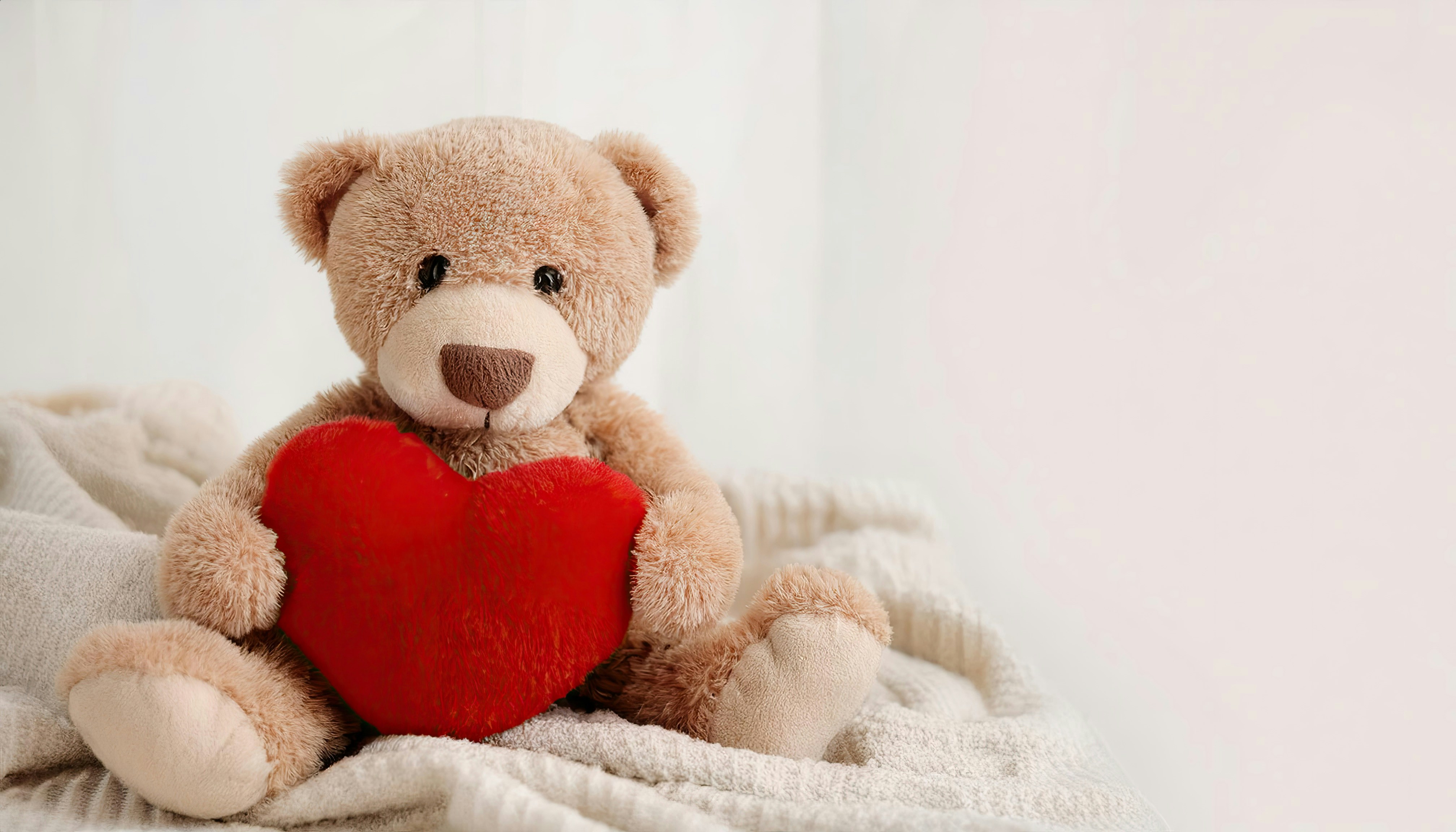 50 Teddy Day Wishes for Boyfriend to Melt His Heart