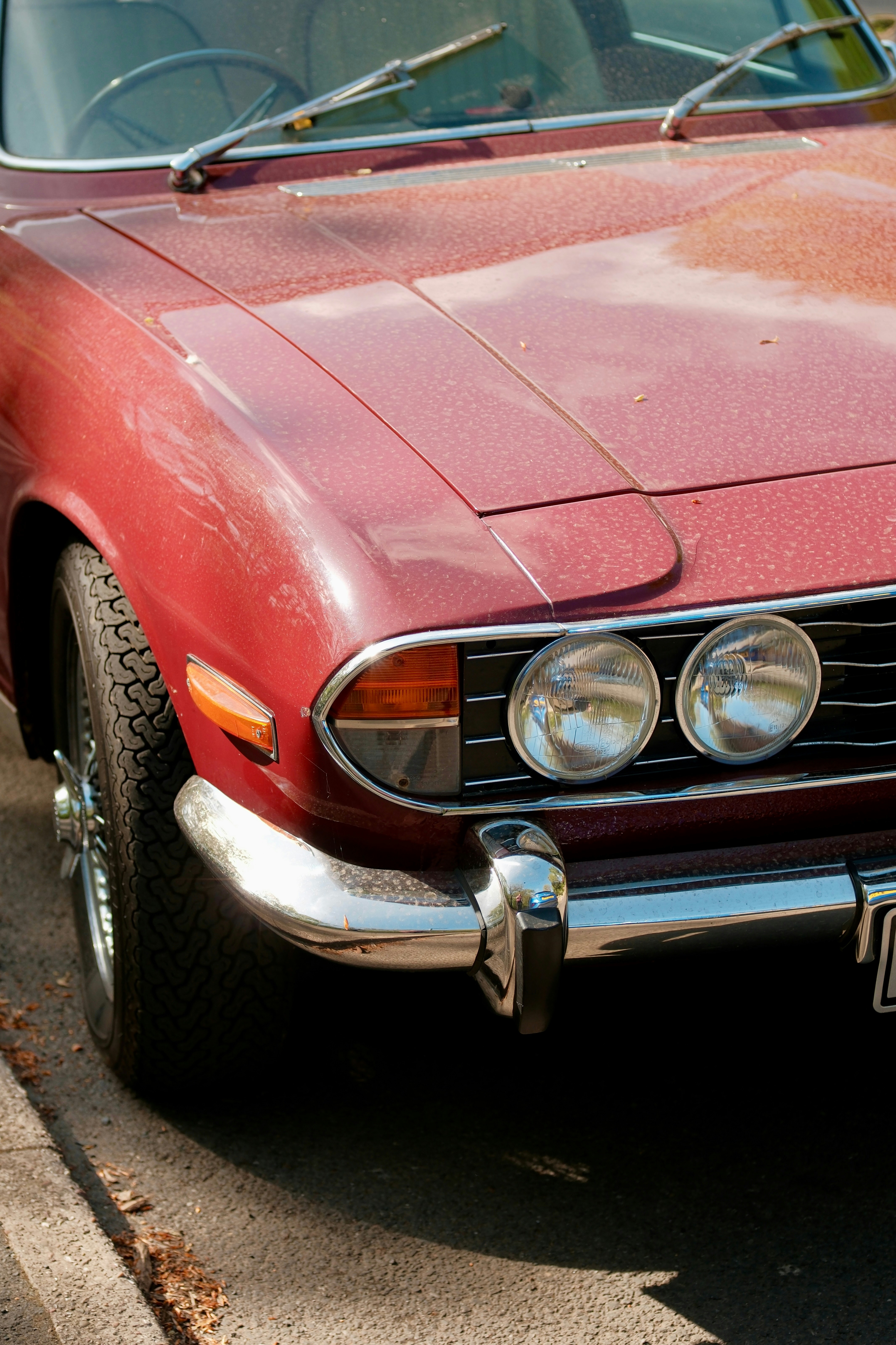 Photo by alekseixagafonov