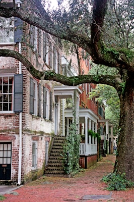 Vagabond Savannah Day Cruise