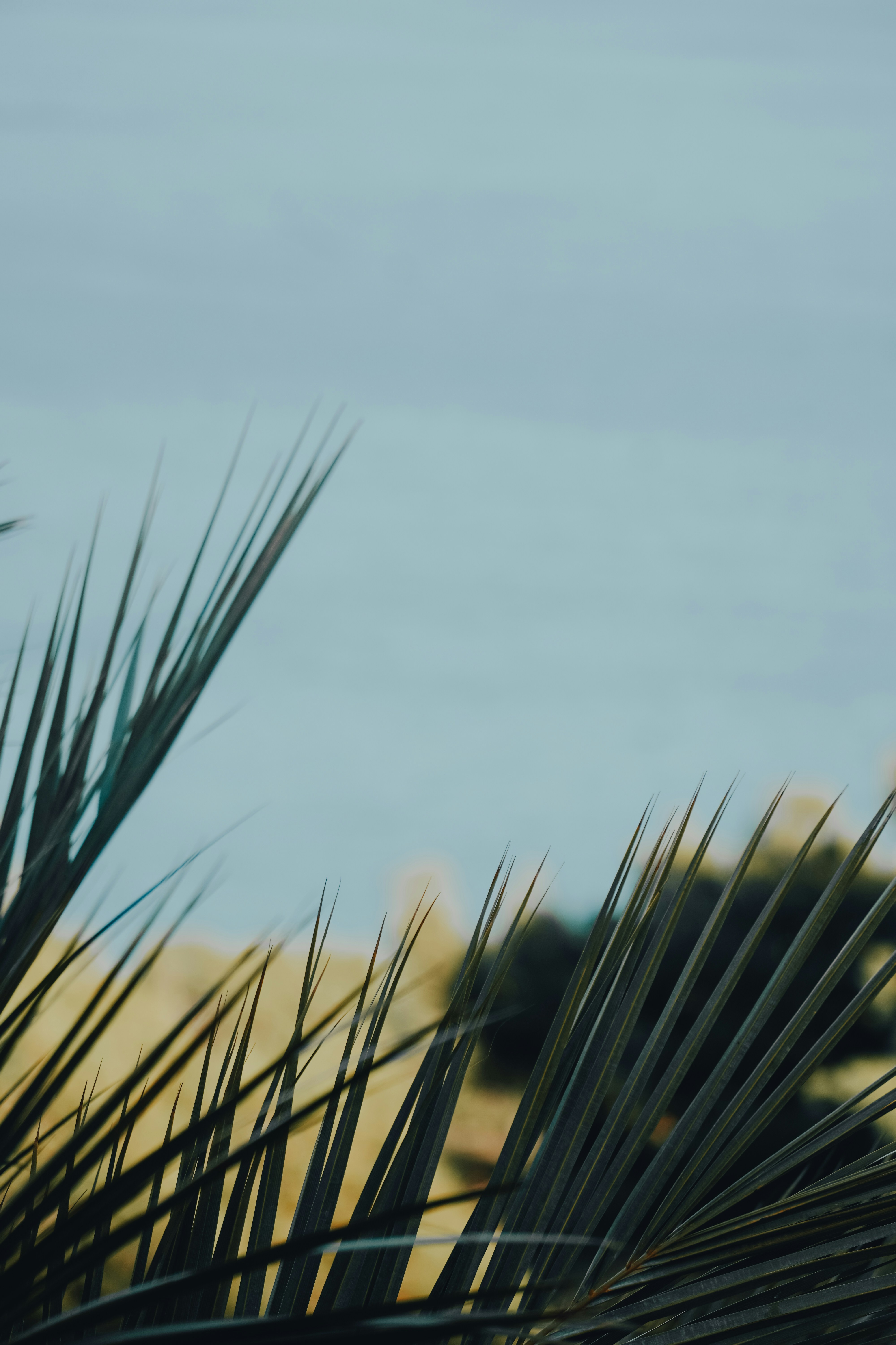 Photo by sophie_lngr