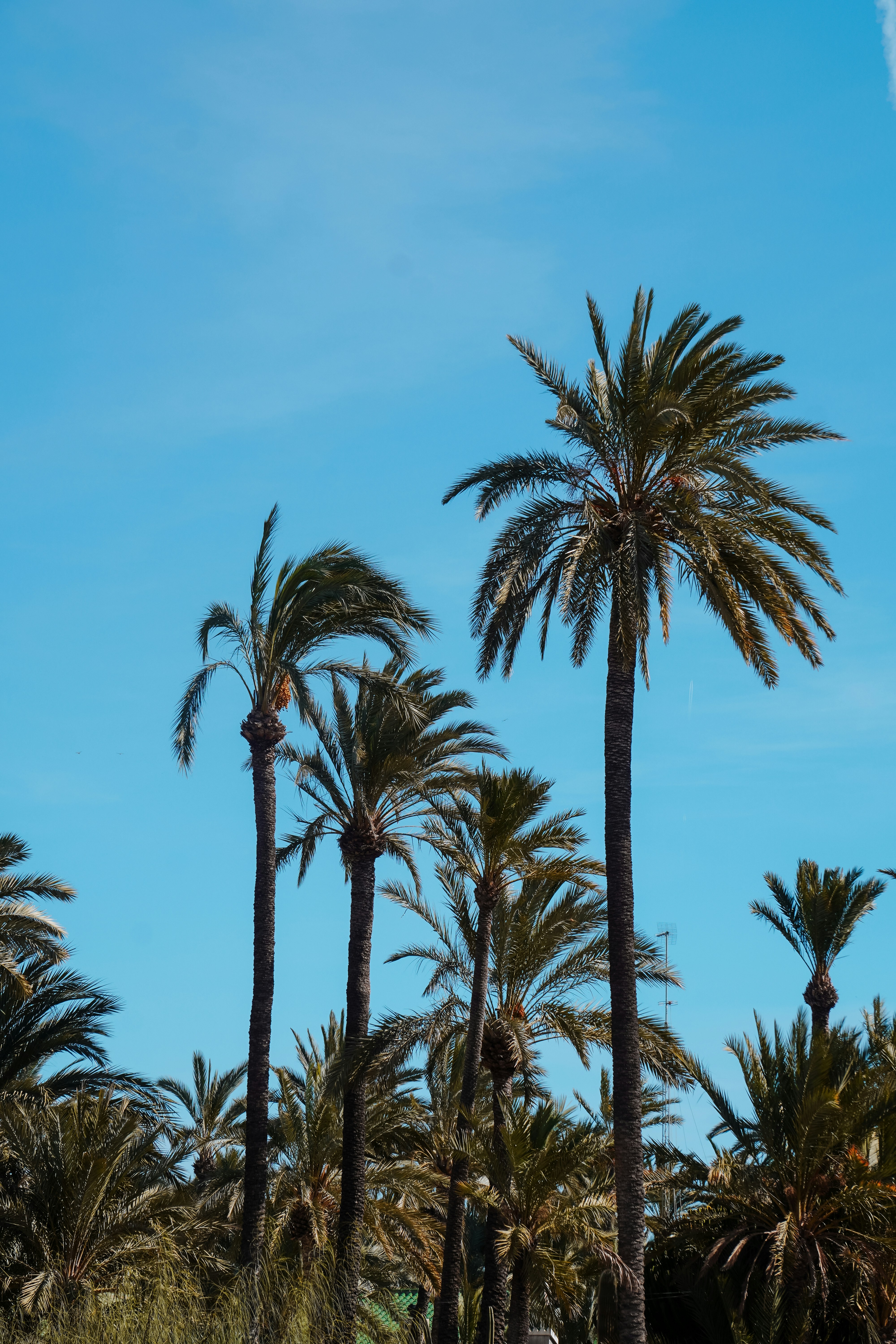 Photo by sophie_lngr