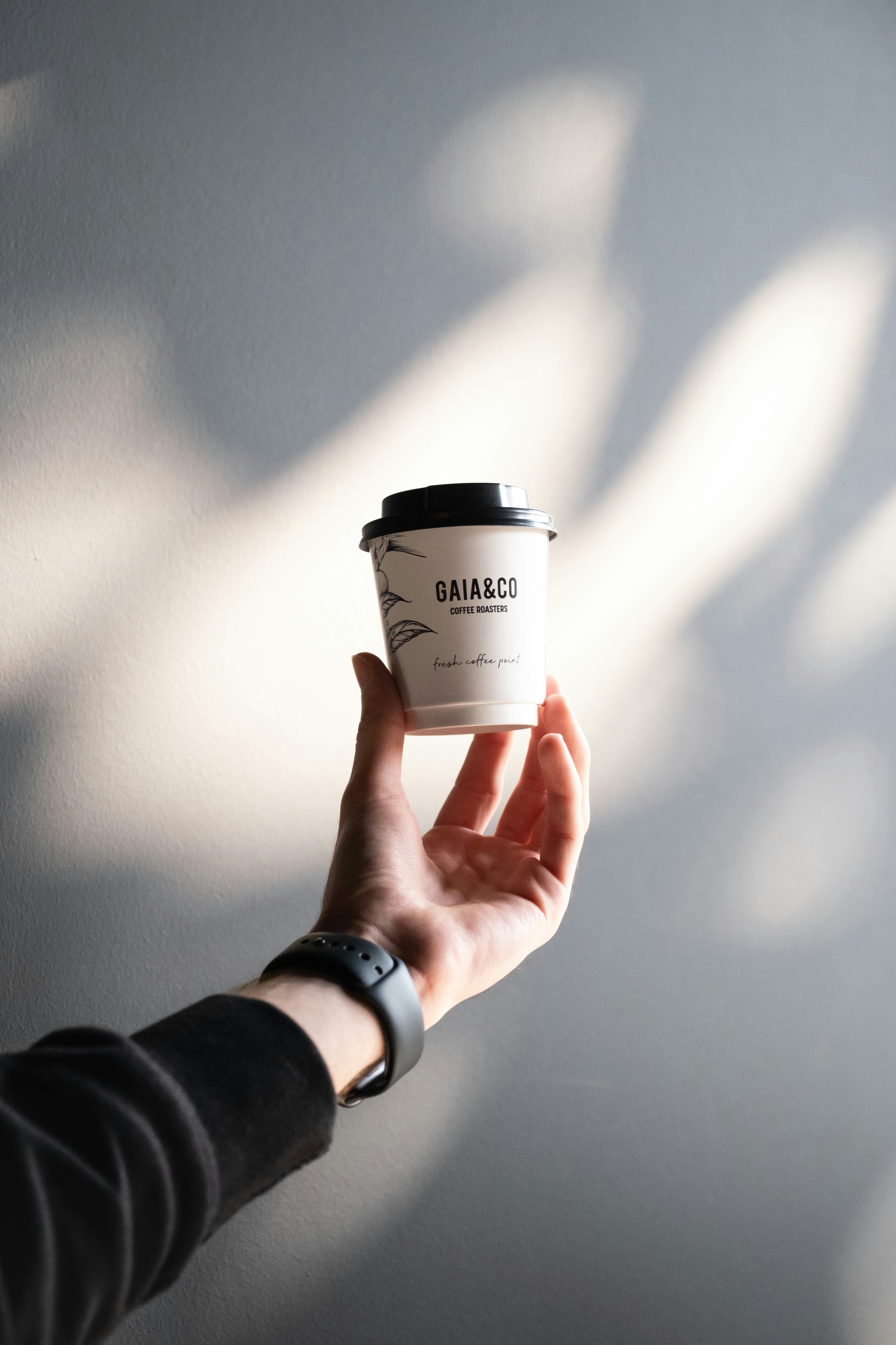 Hand holding a coffee cup with a shadow.