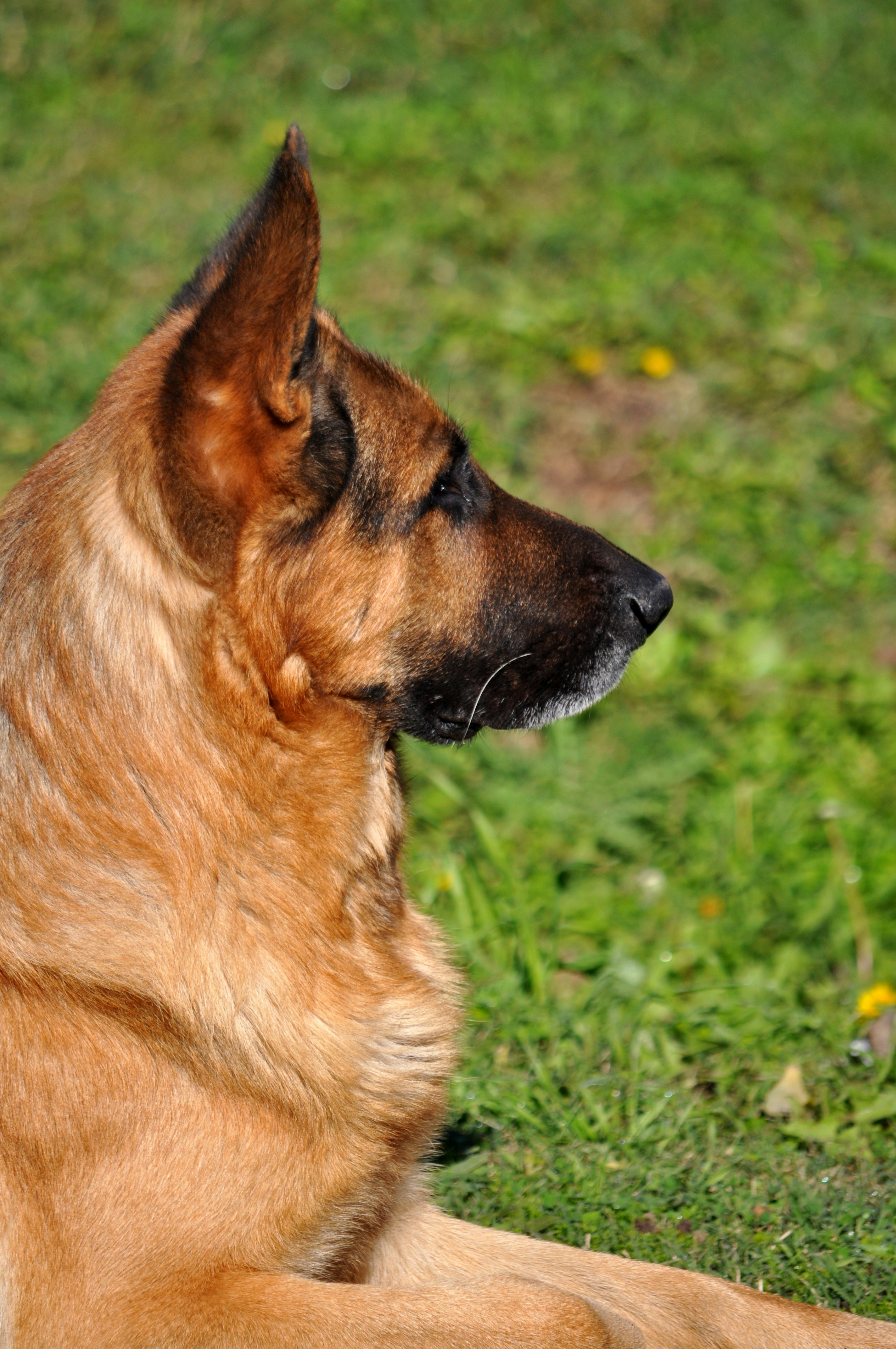 Photo by photostockphoto