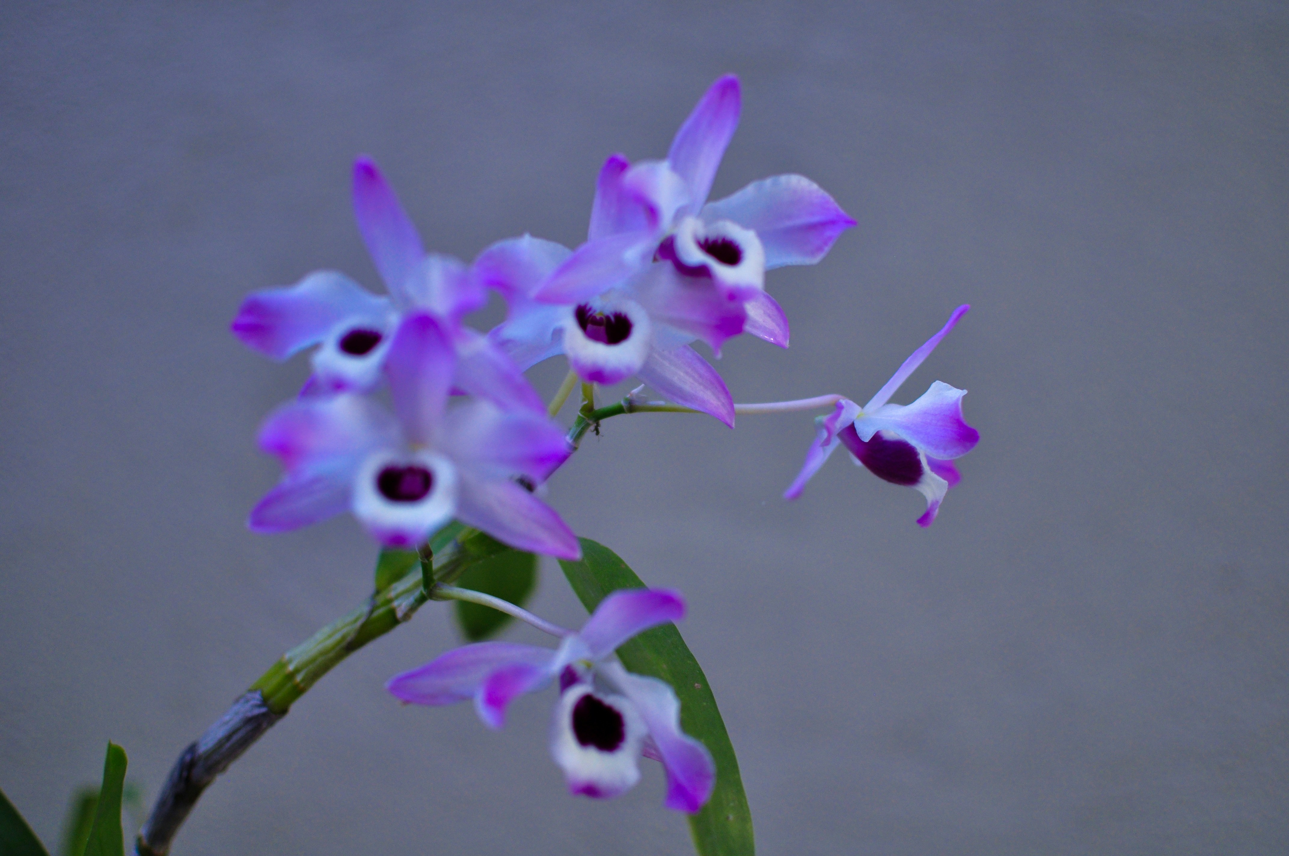 Photo by photostockphoto