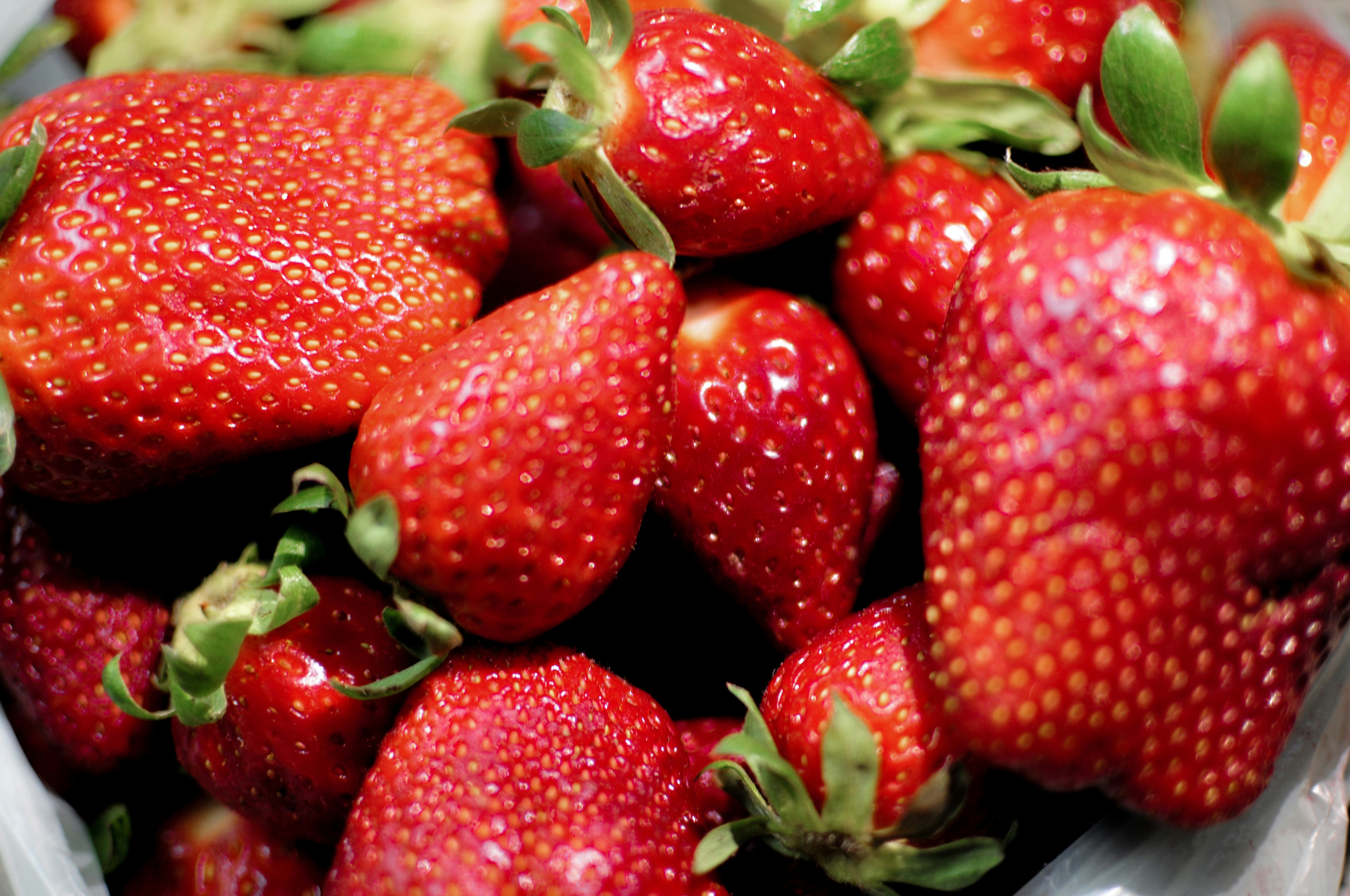 Photo by photostockphoto