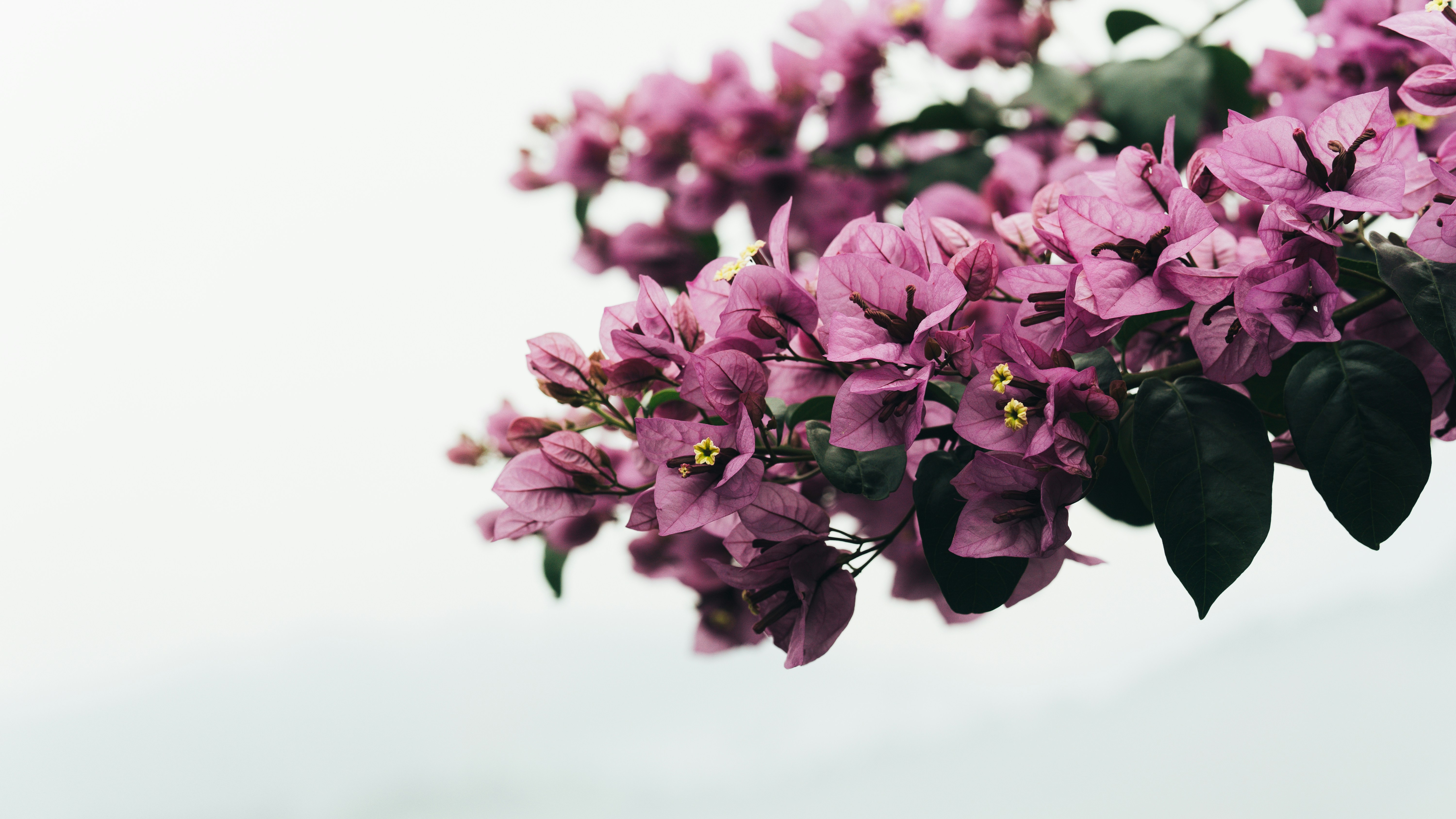 Photo by nanduvasudevan