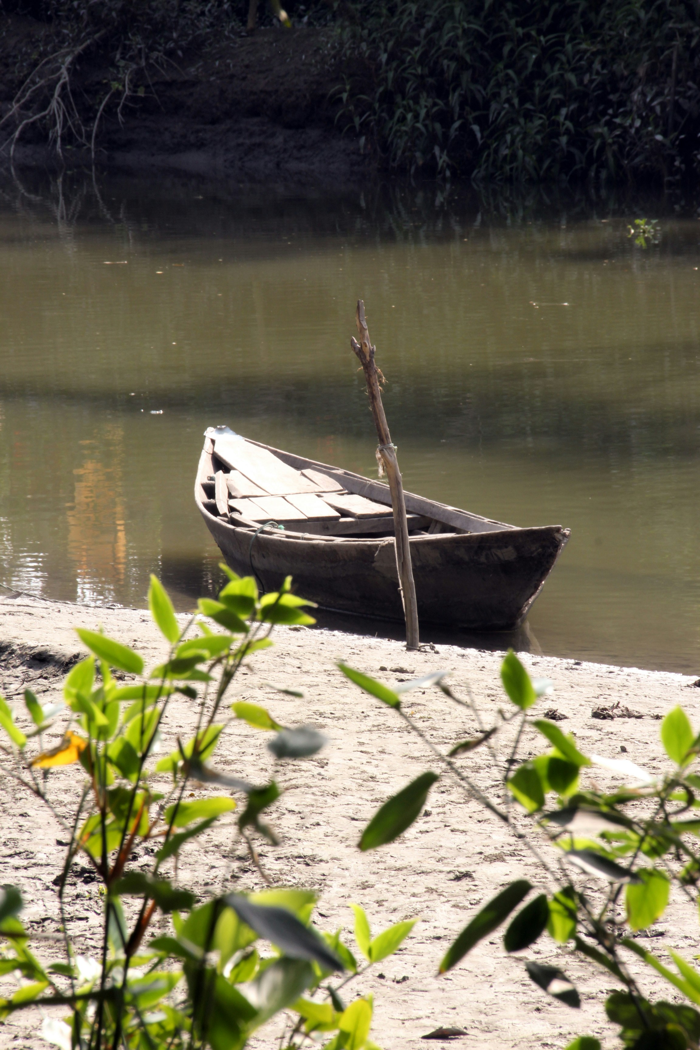 Photo by shariar15
